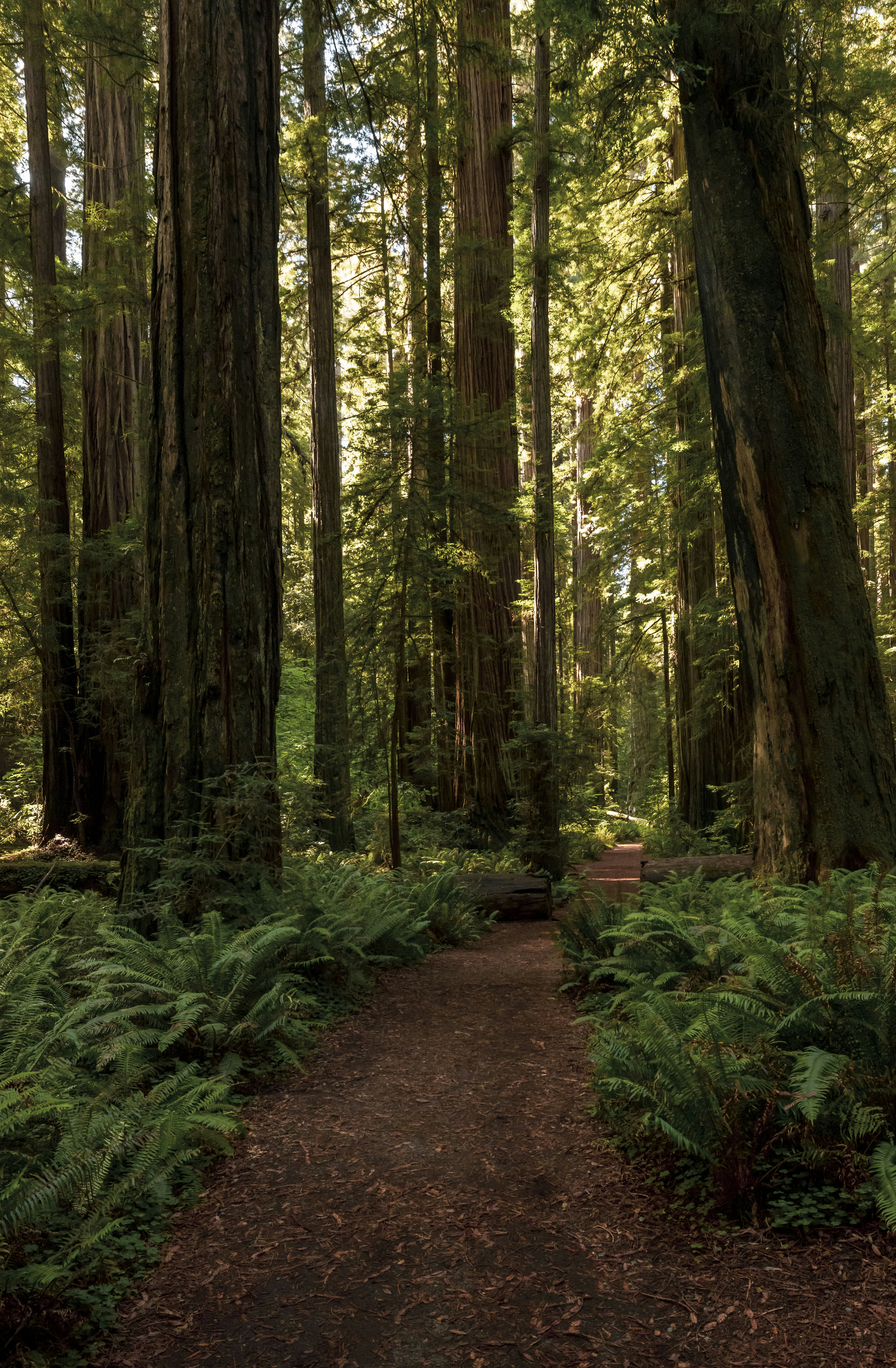 Photo by leo_visions_