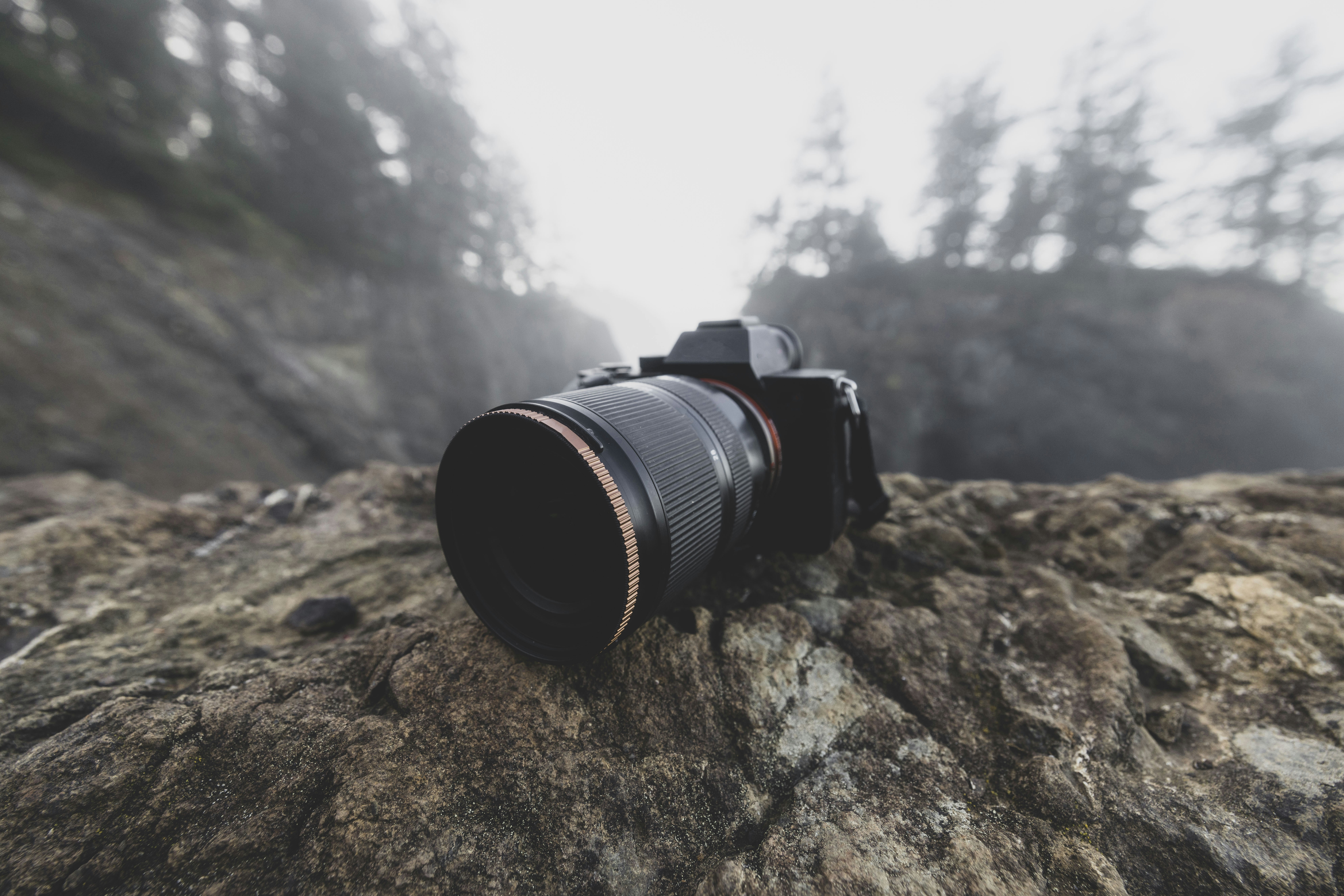 Photo by leo_visions_