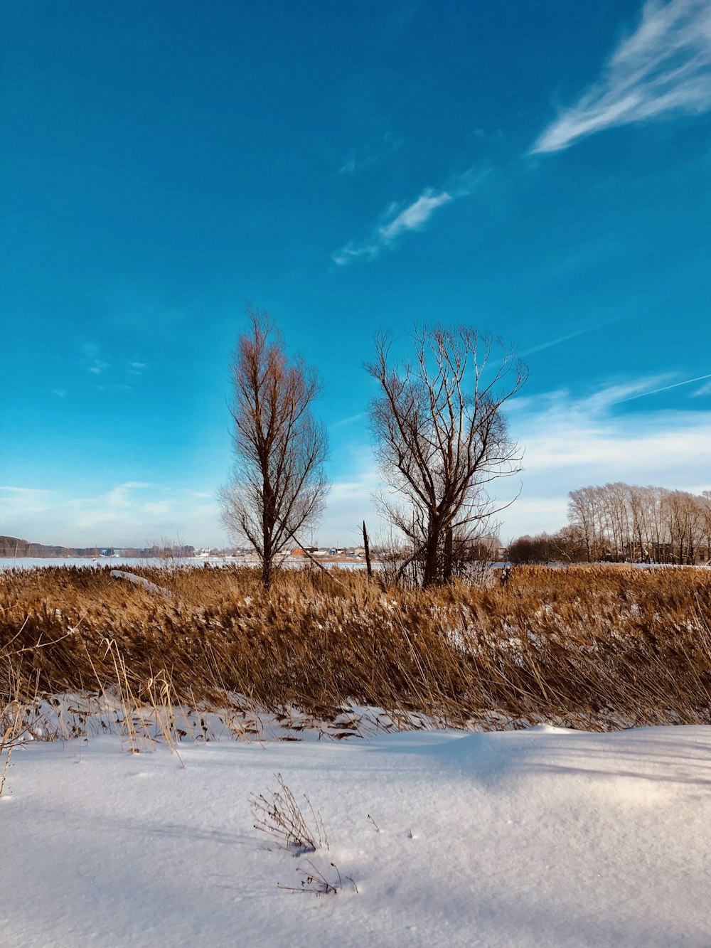 a snow covered field with trees in the distance