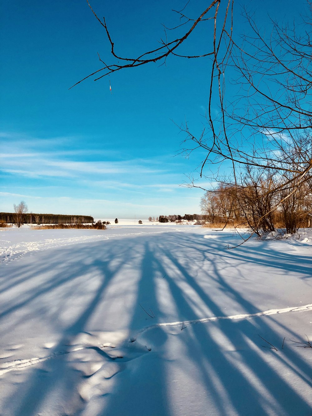 a snow covered field with trees and a blue sky