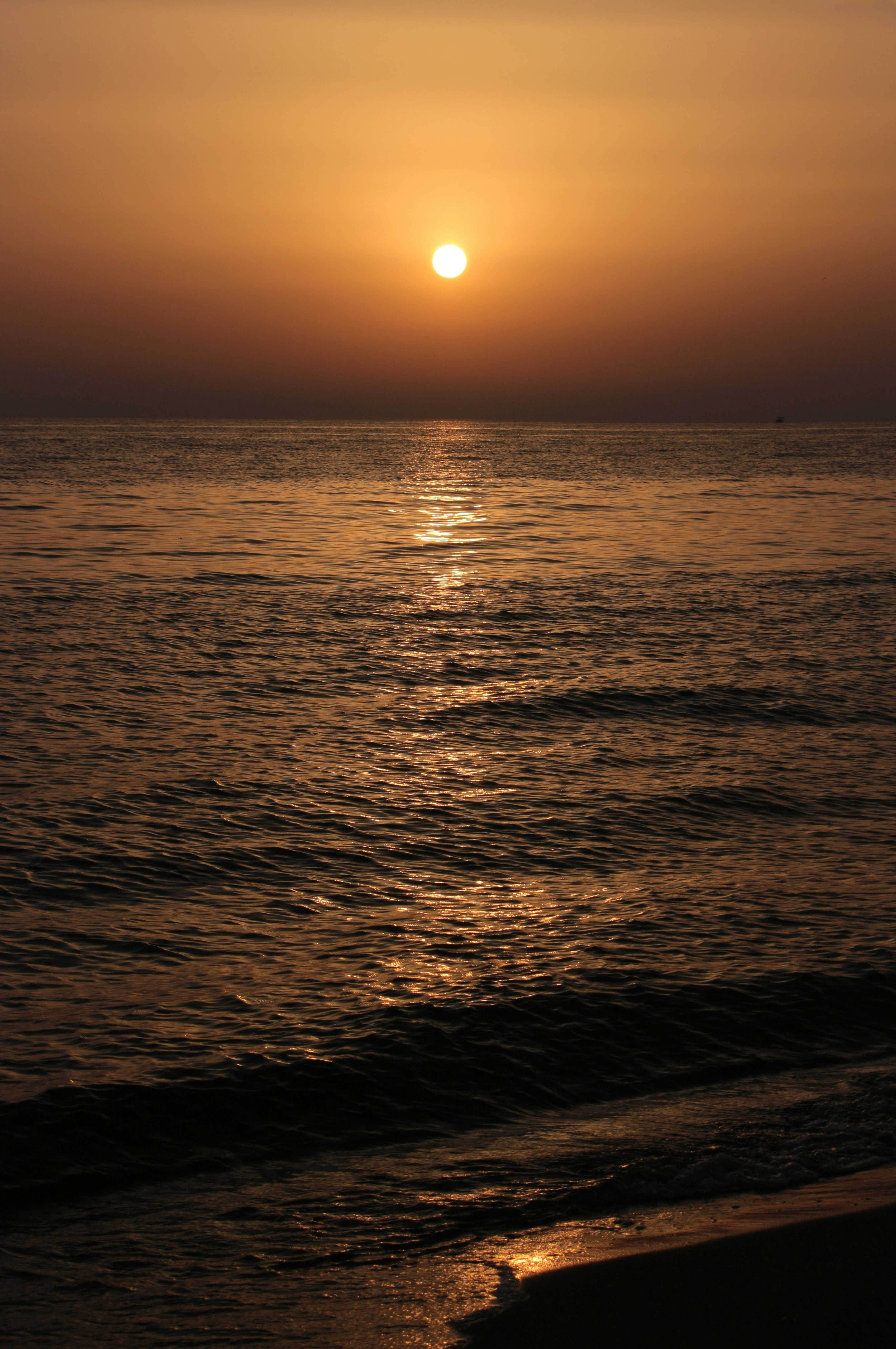 Photo by miloslopusina