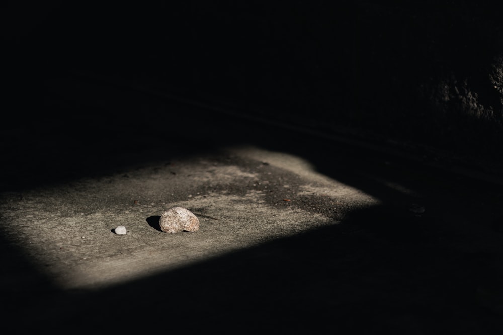 a rock sitting on the ground in the dark