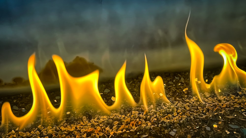 a group of yellow flames in the ground
