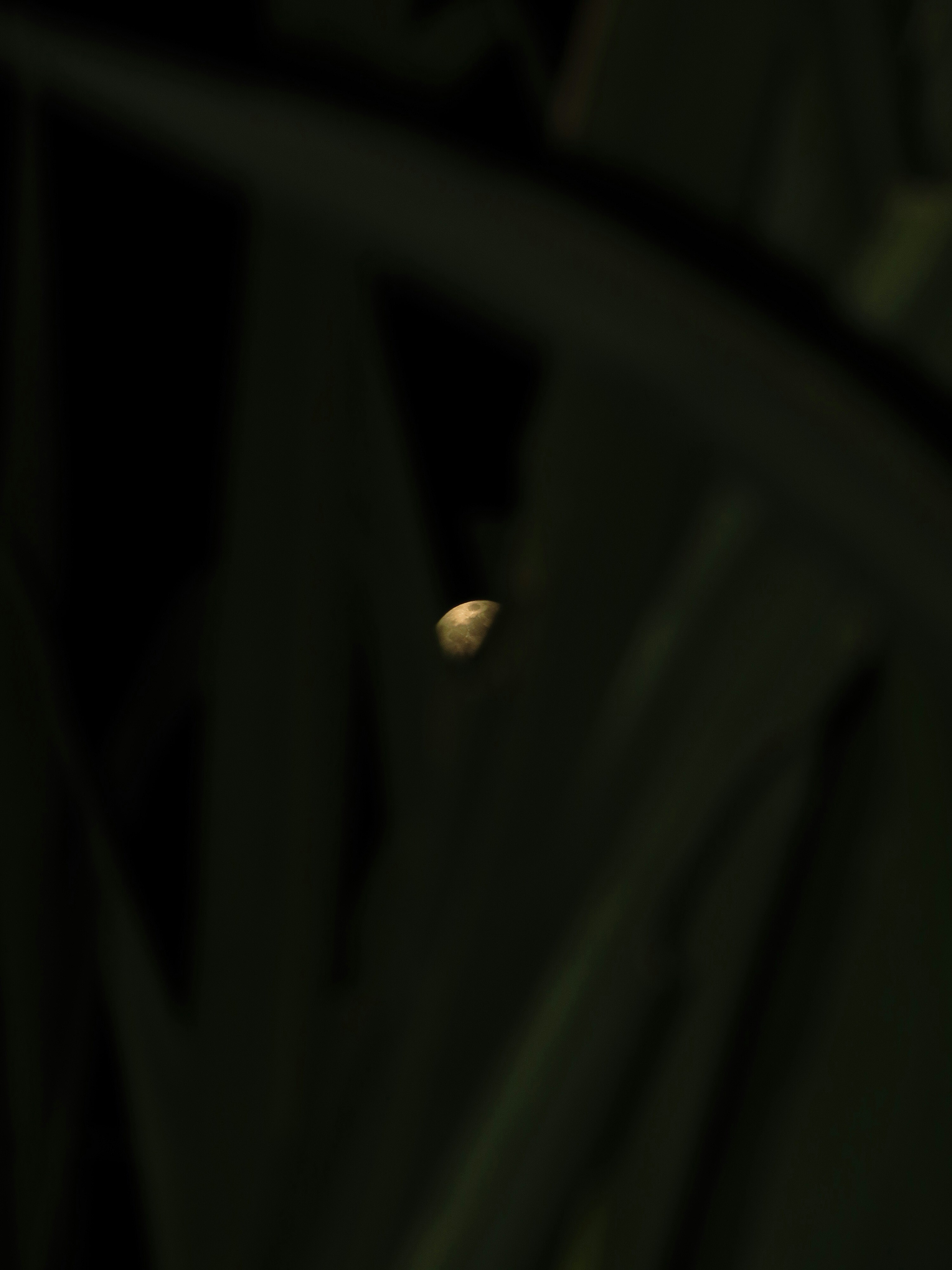 Photo by raghavkalia