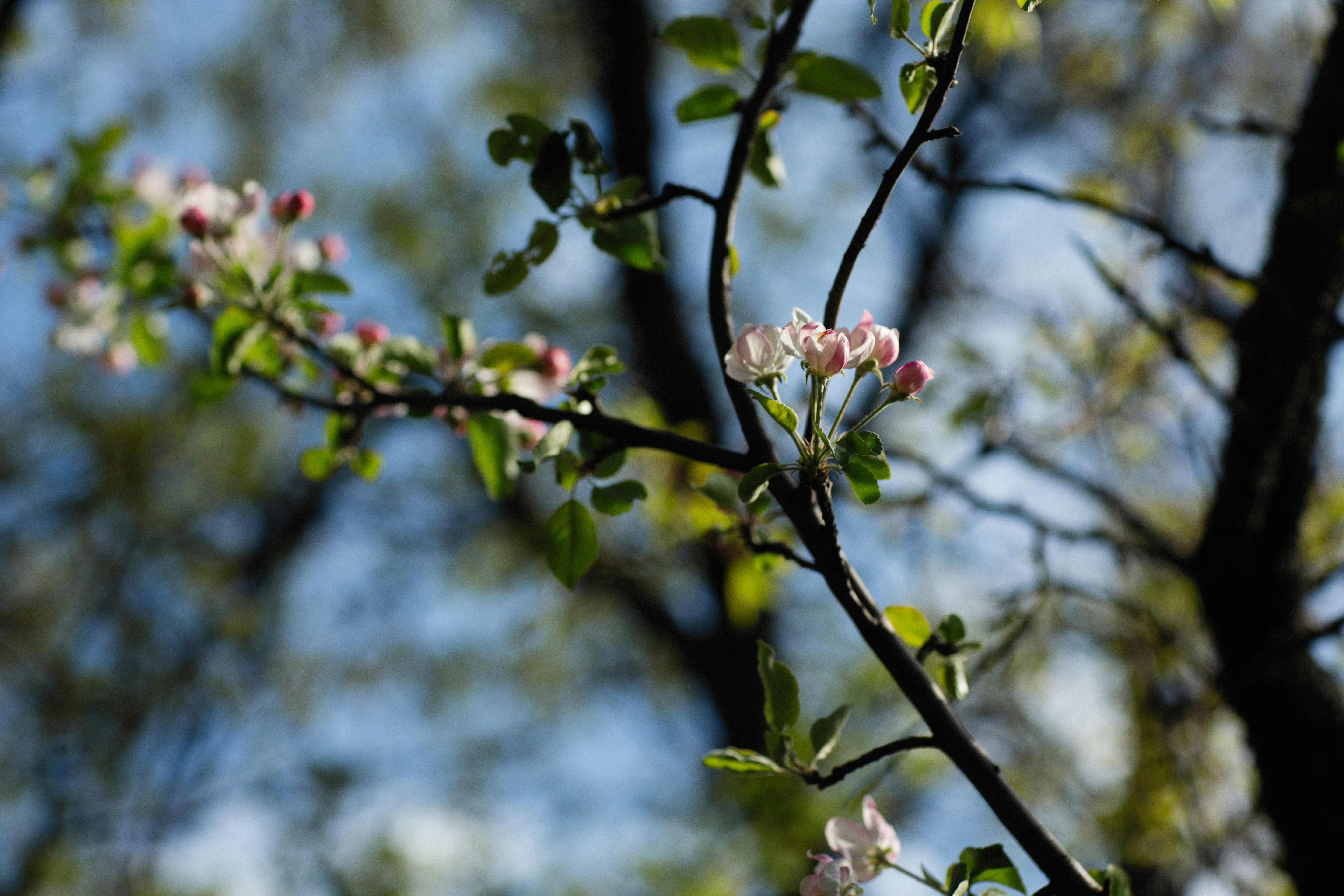 Photo by alexeydemidov