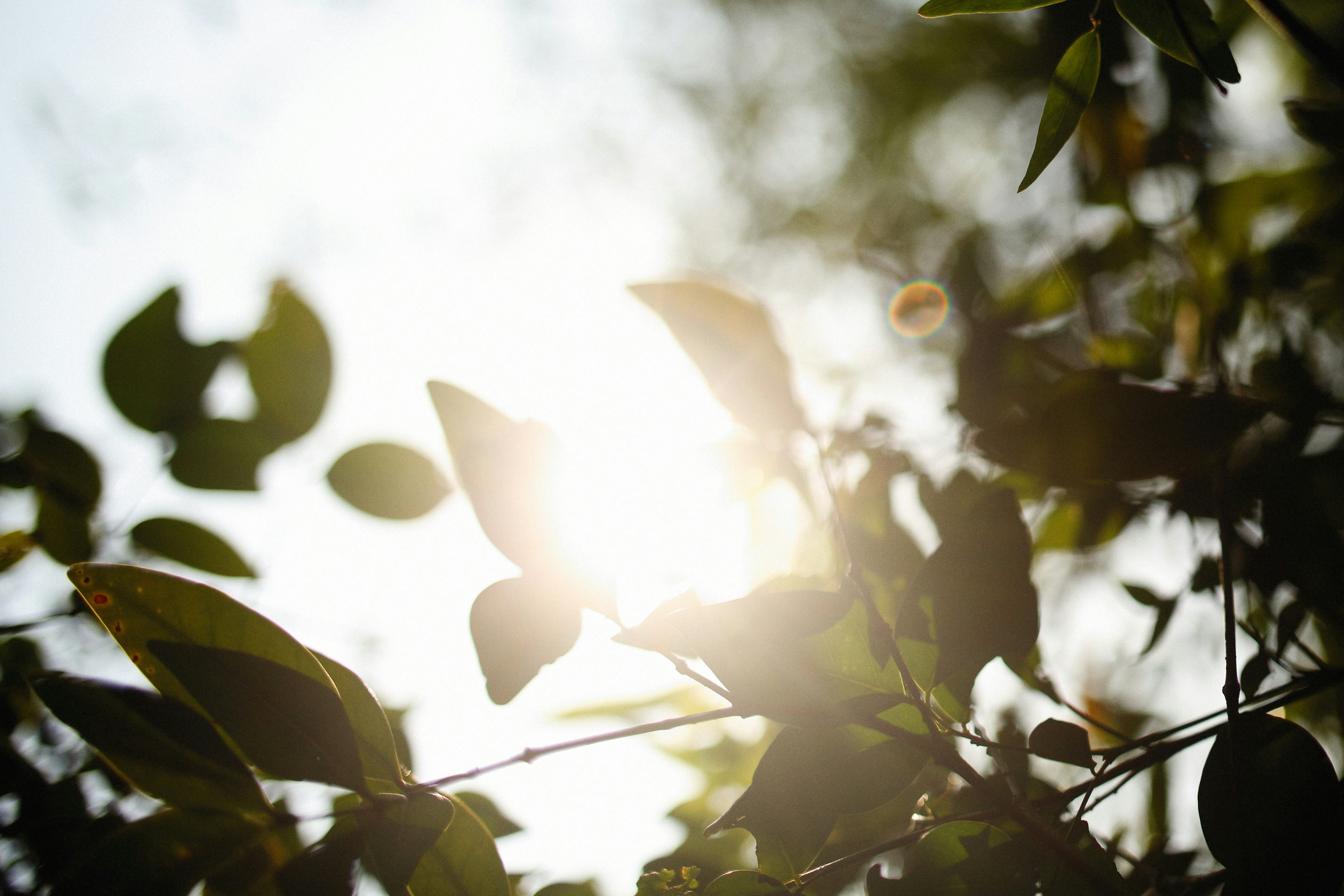 Photo by alexeydemidov