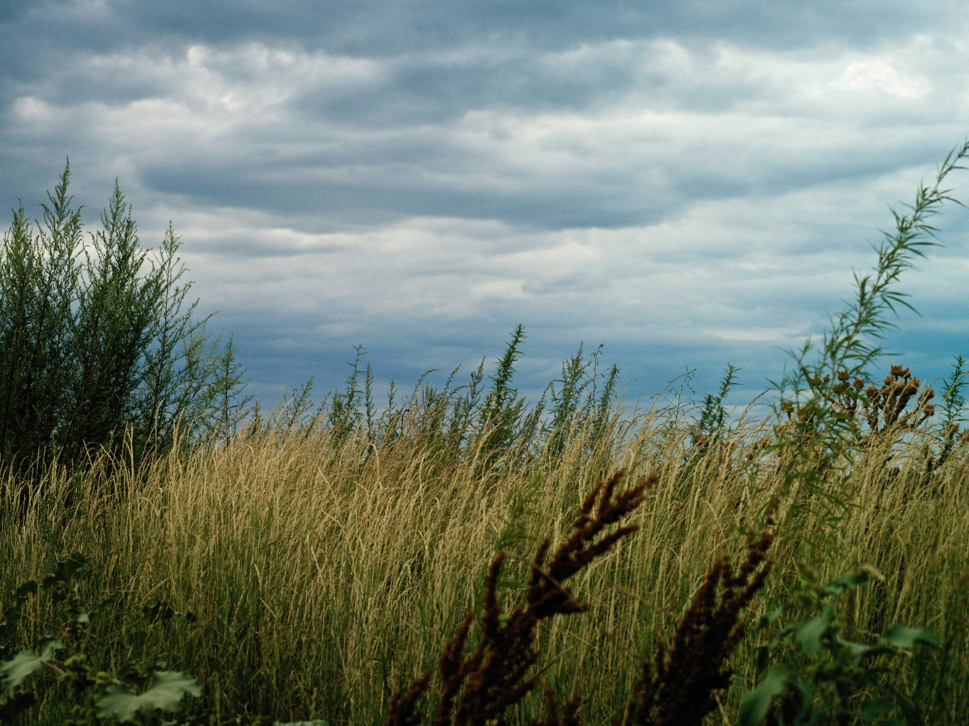 Photo by alexeydemidov