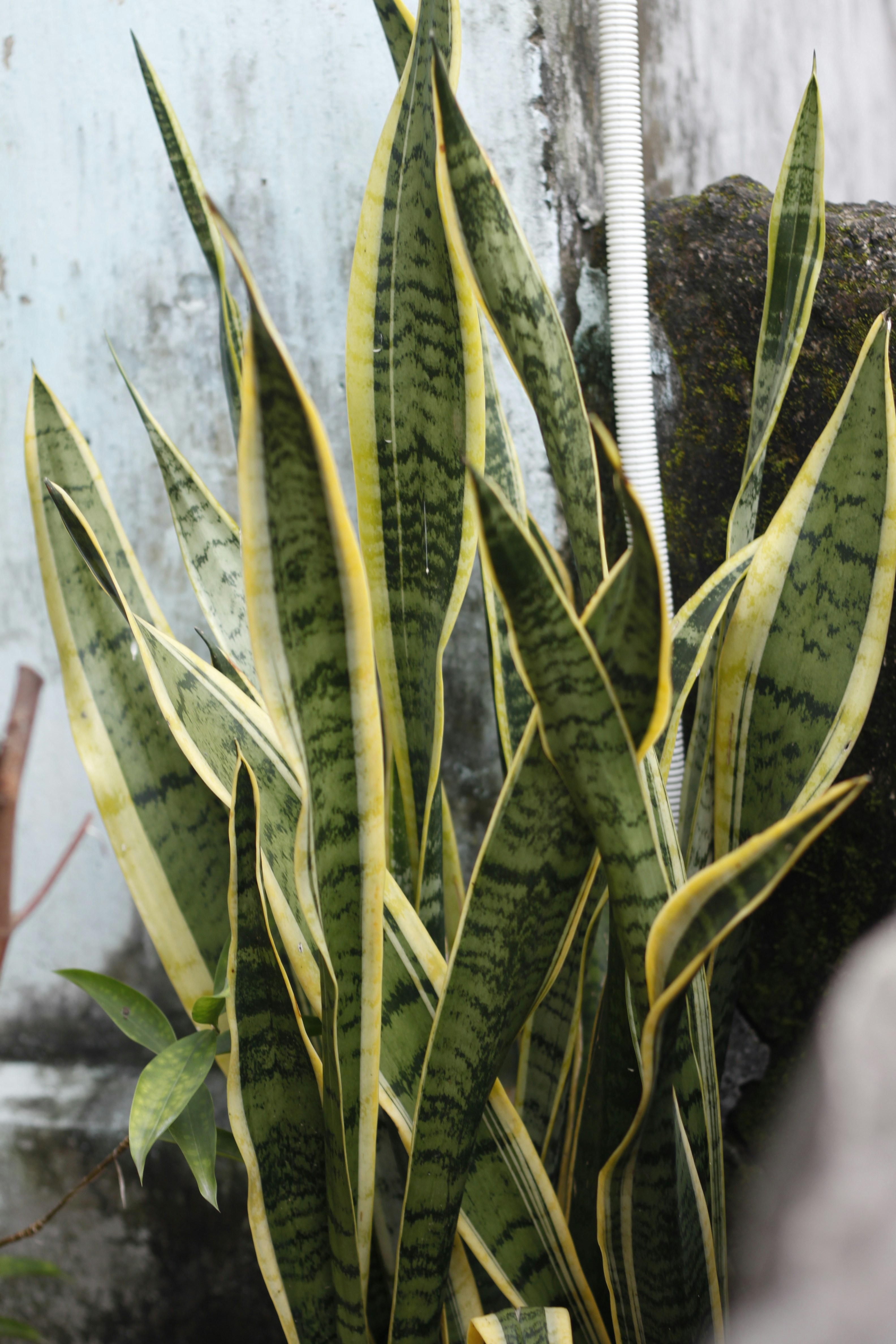 Photo by jtrinh_artwork