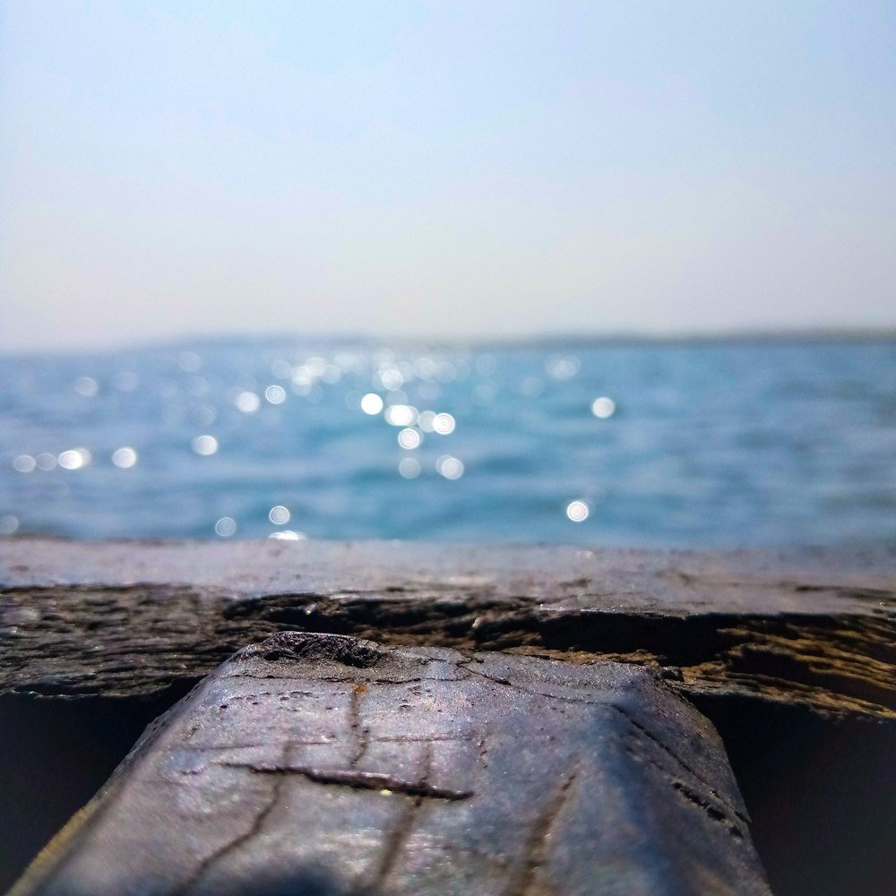 Un primer plano de un trozo de madera con agua en el fondo