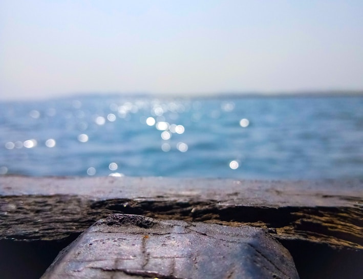 a close up of a piece of wood with water in the background