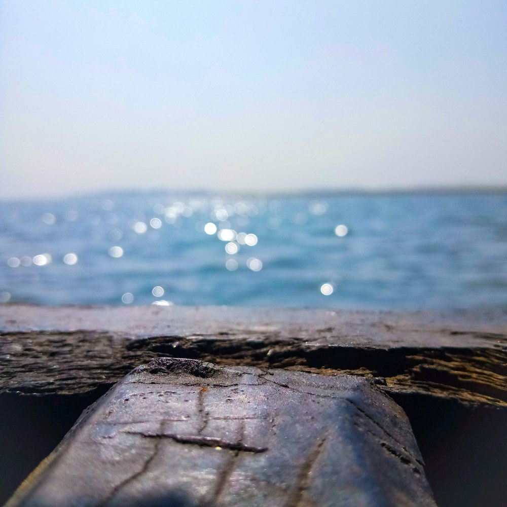 a close up of a piece of wood with water in the background