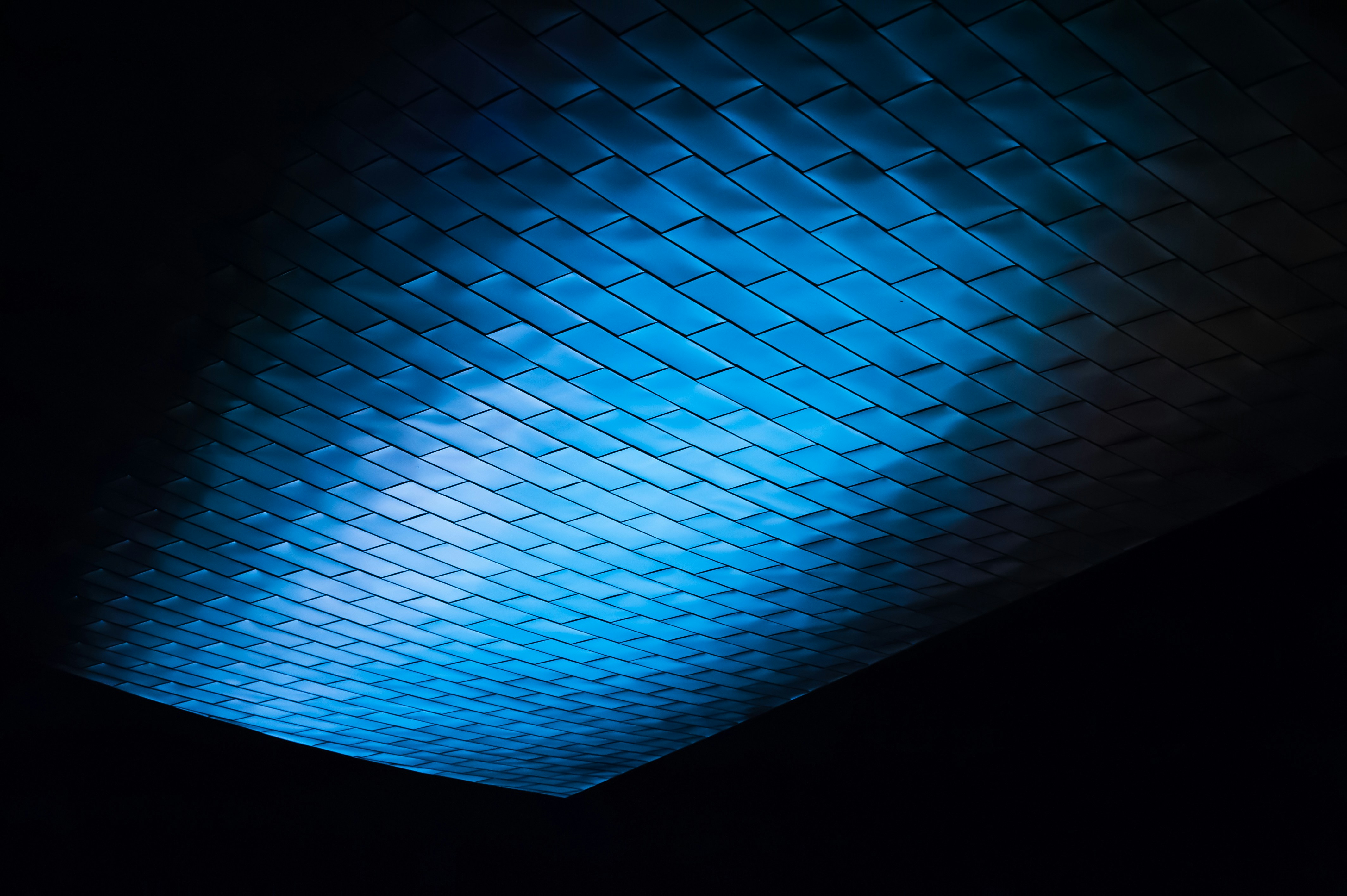 Photo by luisjlara343