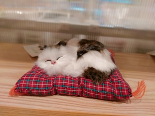 A realistic plush cat toy rests on a small, checkered red and green cushion. The toy cat appears fluffy, with a mix of white and brown fur and a serene, closed-eye expression. The setting is indoors, likely on a wooden surface, and the background is blurred, focusing attention on the toy.