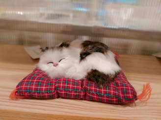 A realistic plush cat toy rests on a small, checkered red and green cushion. The toy cat appears fluffy, with a mix of white and brown fur and a serene, closed-eye expression. The setting is indoors, likely on a wooden surface, and the background is blurred, focusing attention on the toy.
