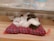 A realistic plush cat toy rests on a small, checkered red and green cushion. The toy cat appears fluffy, with a mix of white and brown fur and a serene, closed-eye expression. The setting is indoors, likely on a wooden surface, and the background is blurred, focusing attention on the toy.