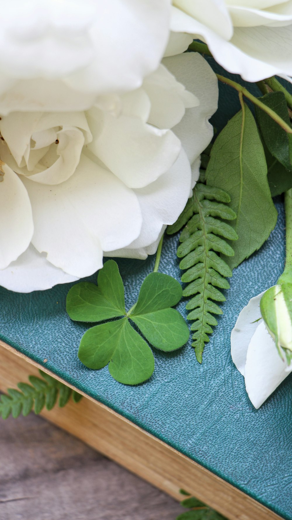 a white flower sitting on top of a blue book