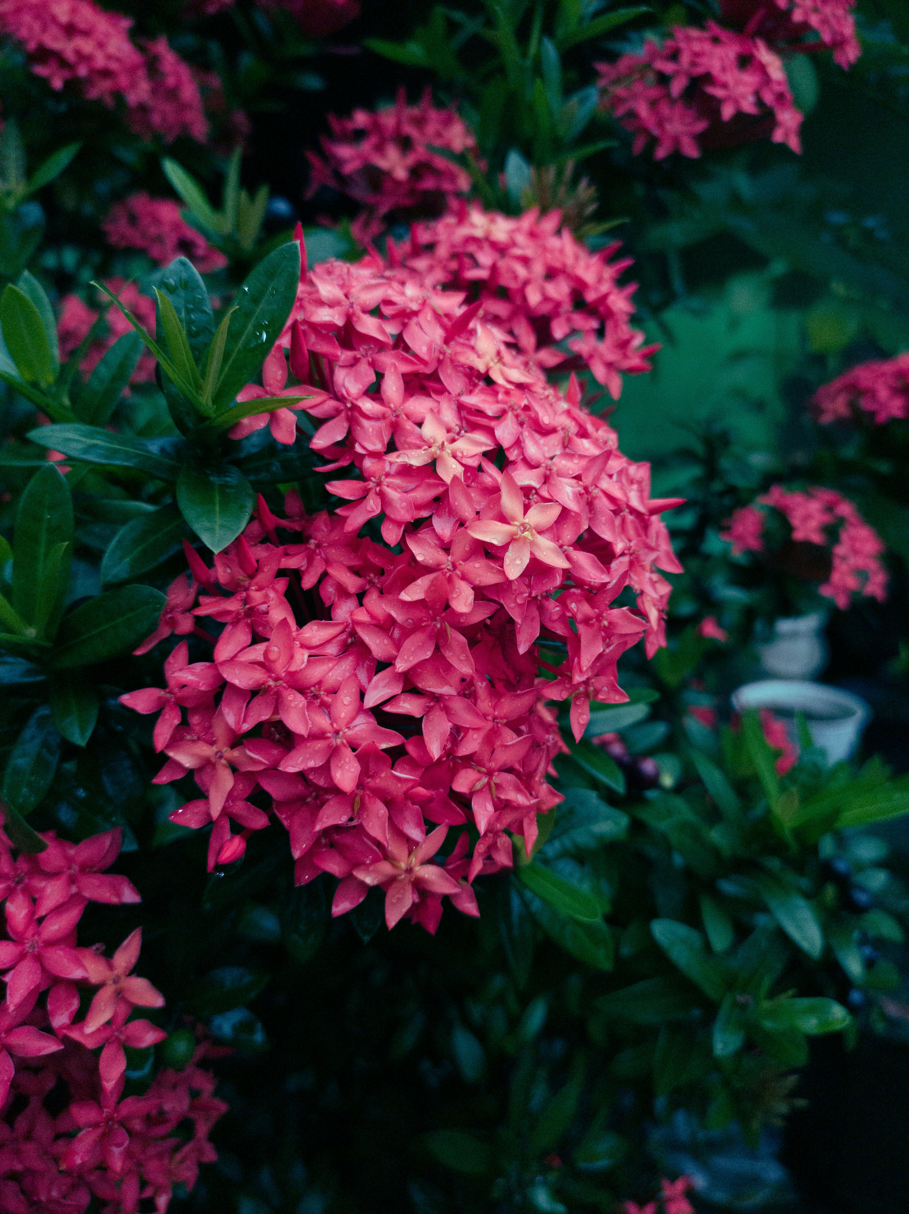 Photo by dimasyotama