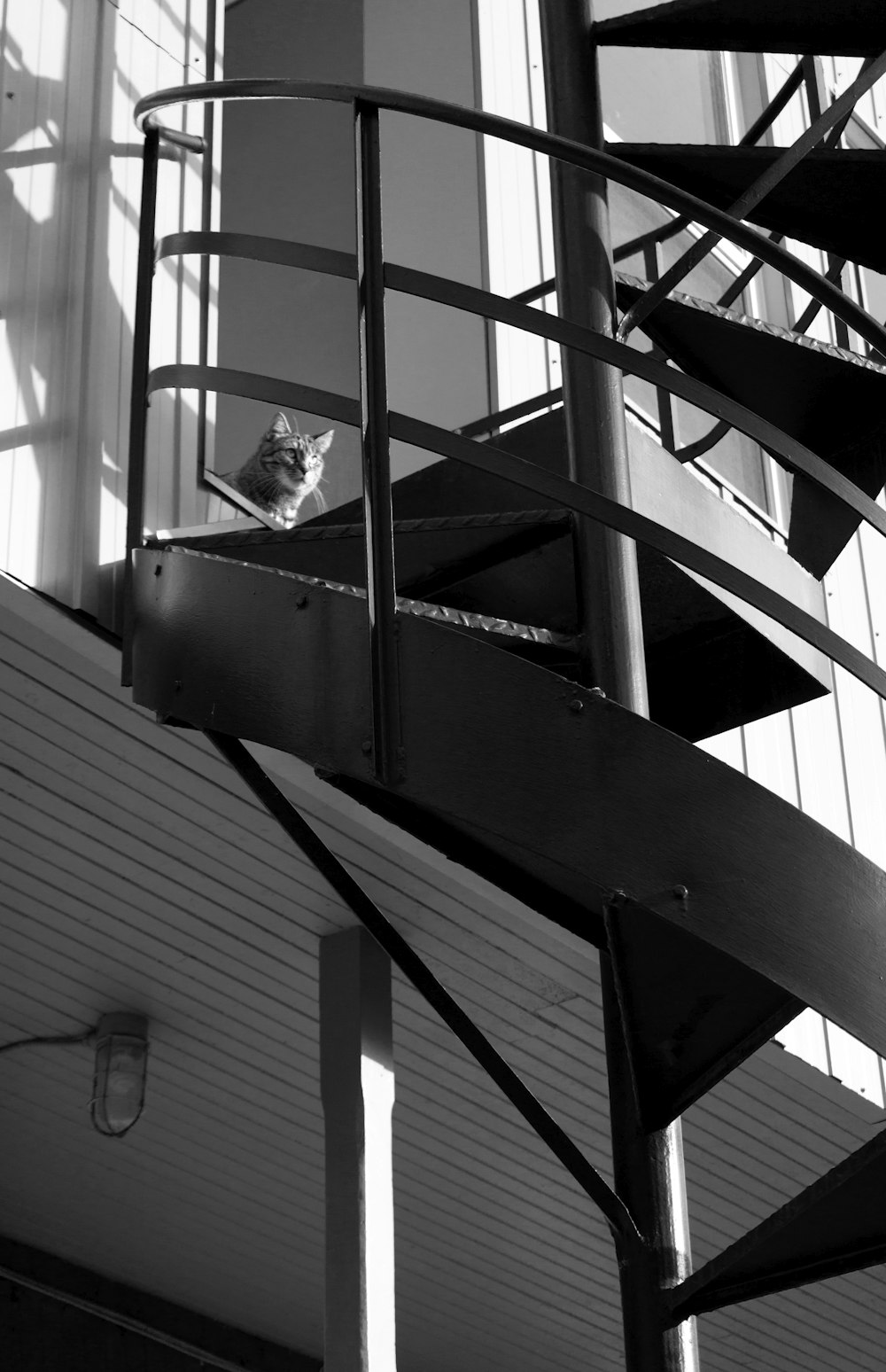 a black and white photo of a spiral staircase