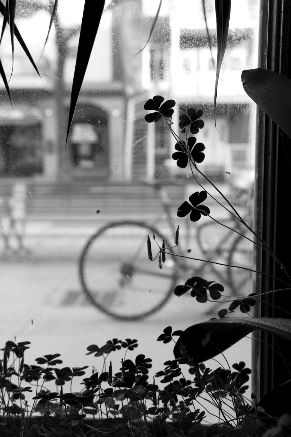 a bicycle is seen through the window of a building