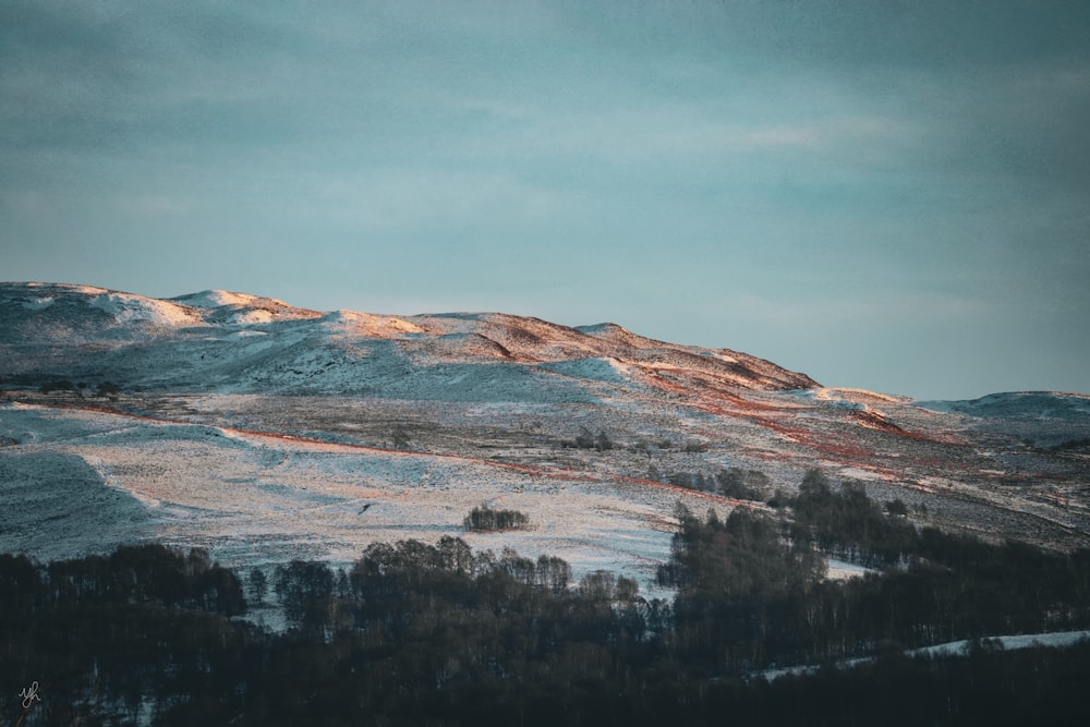 una montaña cubierta de nieve con árboles en el lado de ella