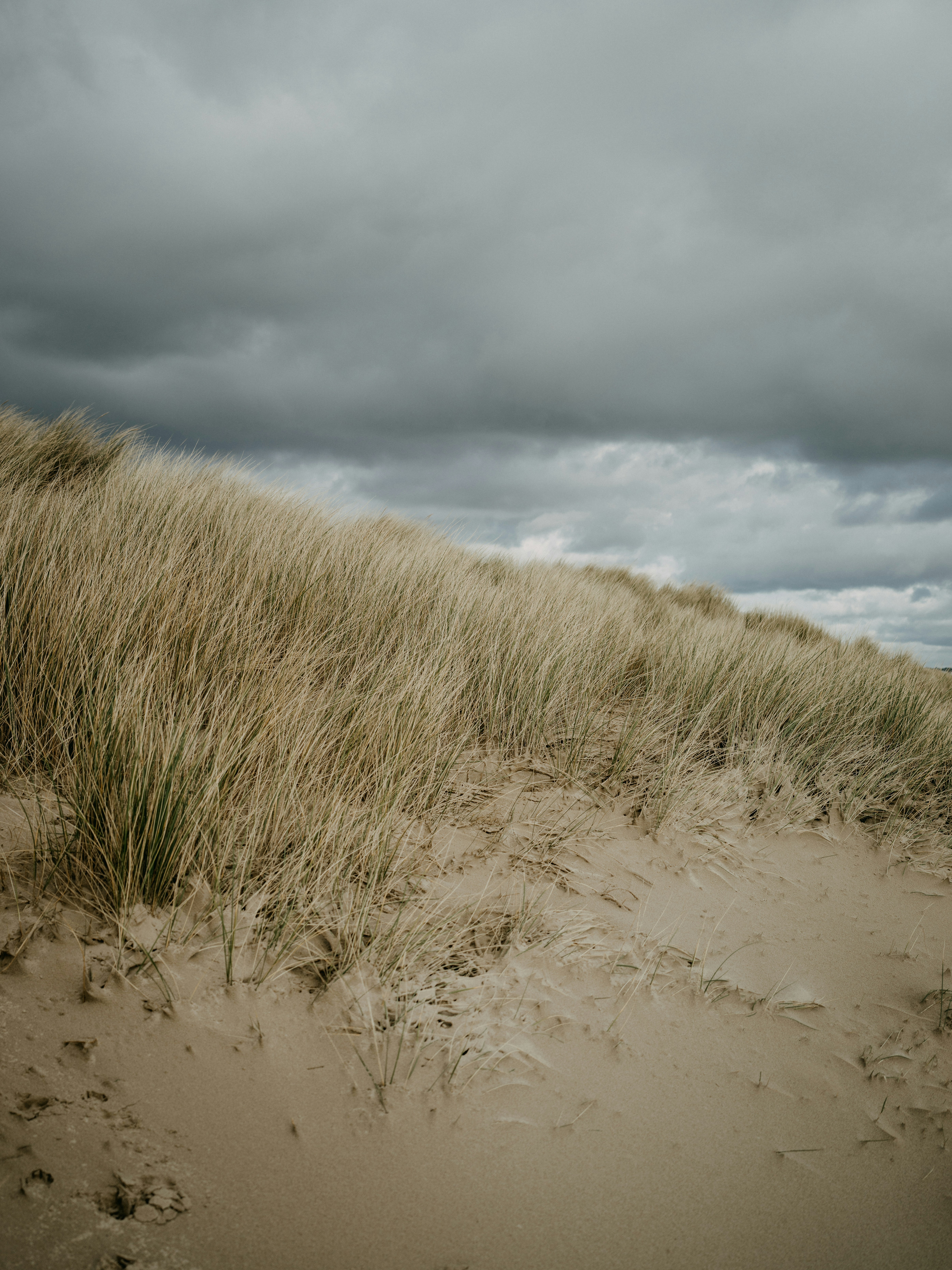 Photo by anniespratt