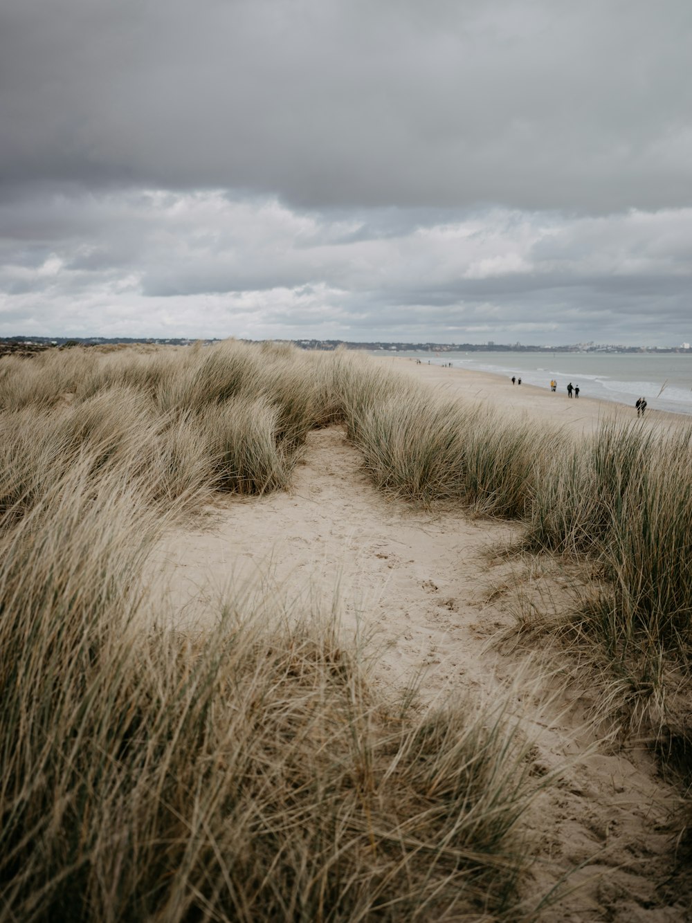 a sandy beach with tall grass and people walking on it