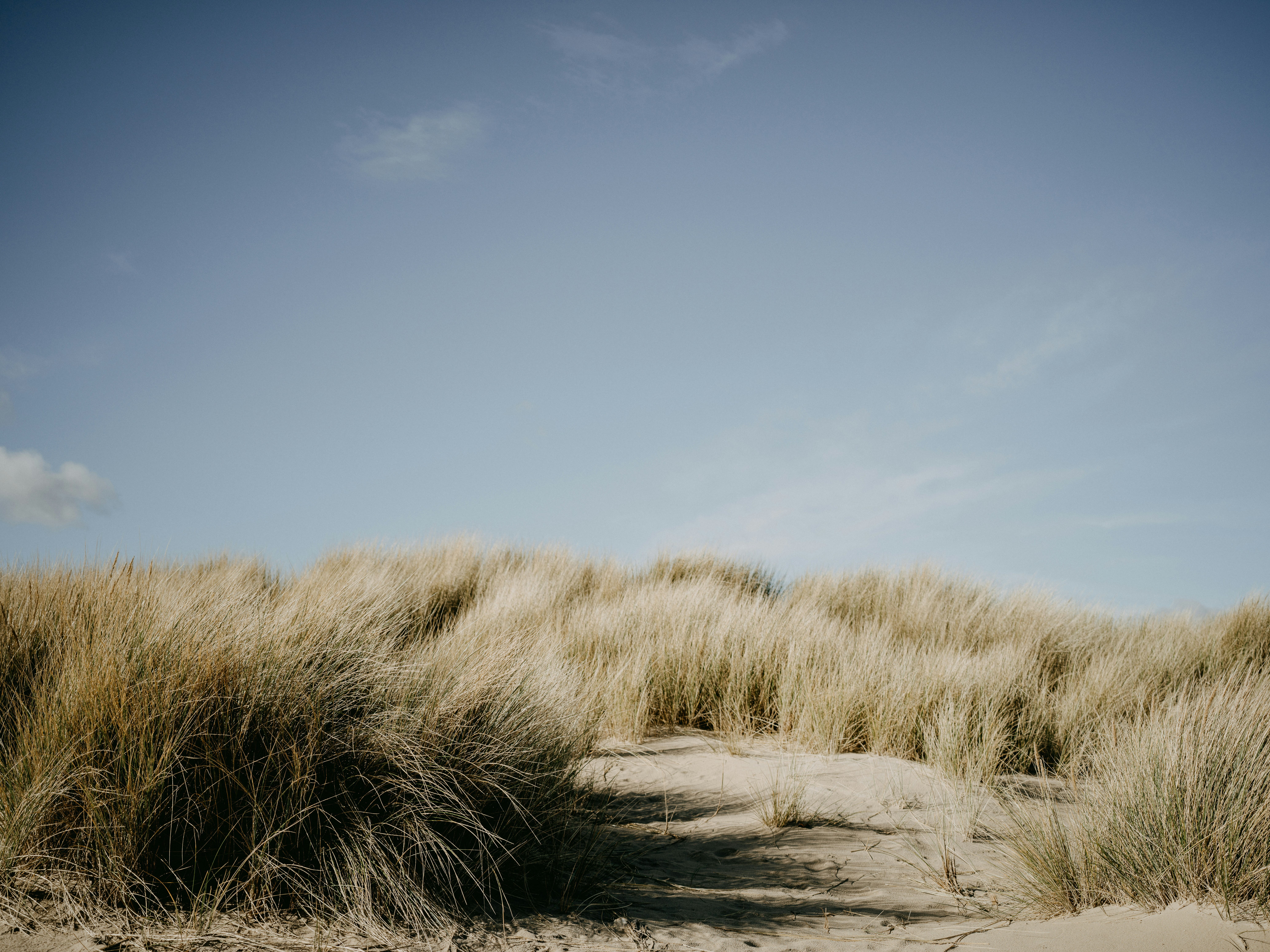 Photo by anniespratt