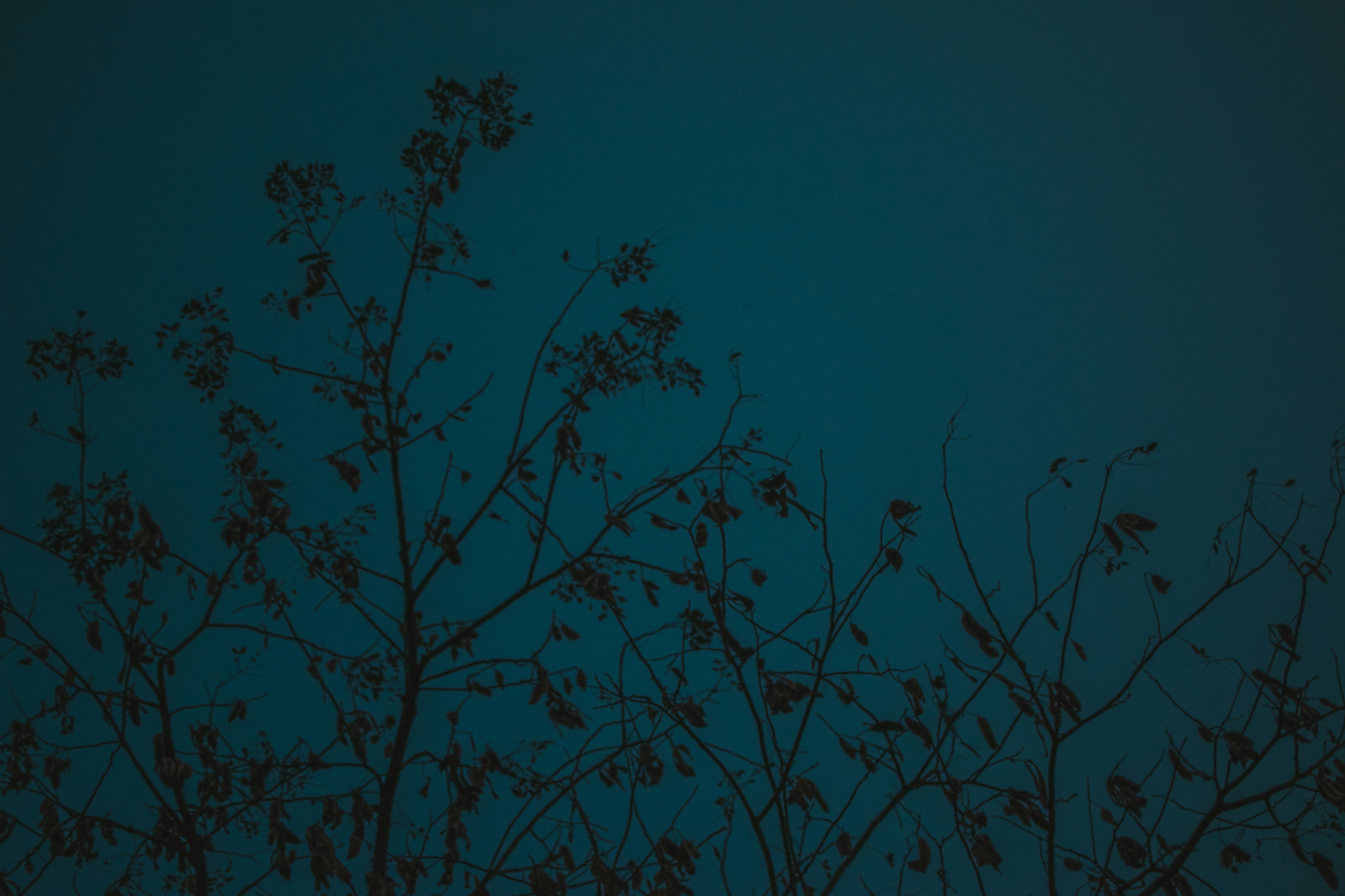 Photo by in_a_dustyblackcoat