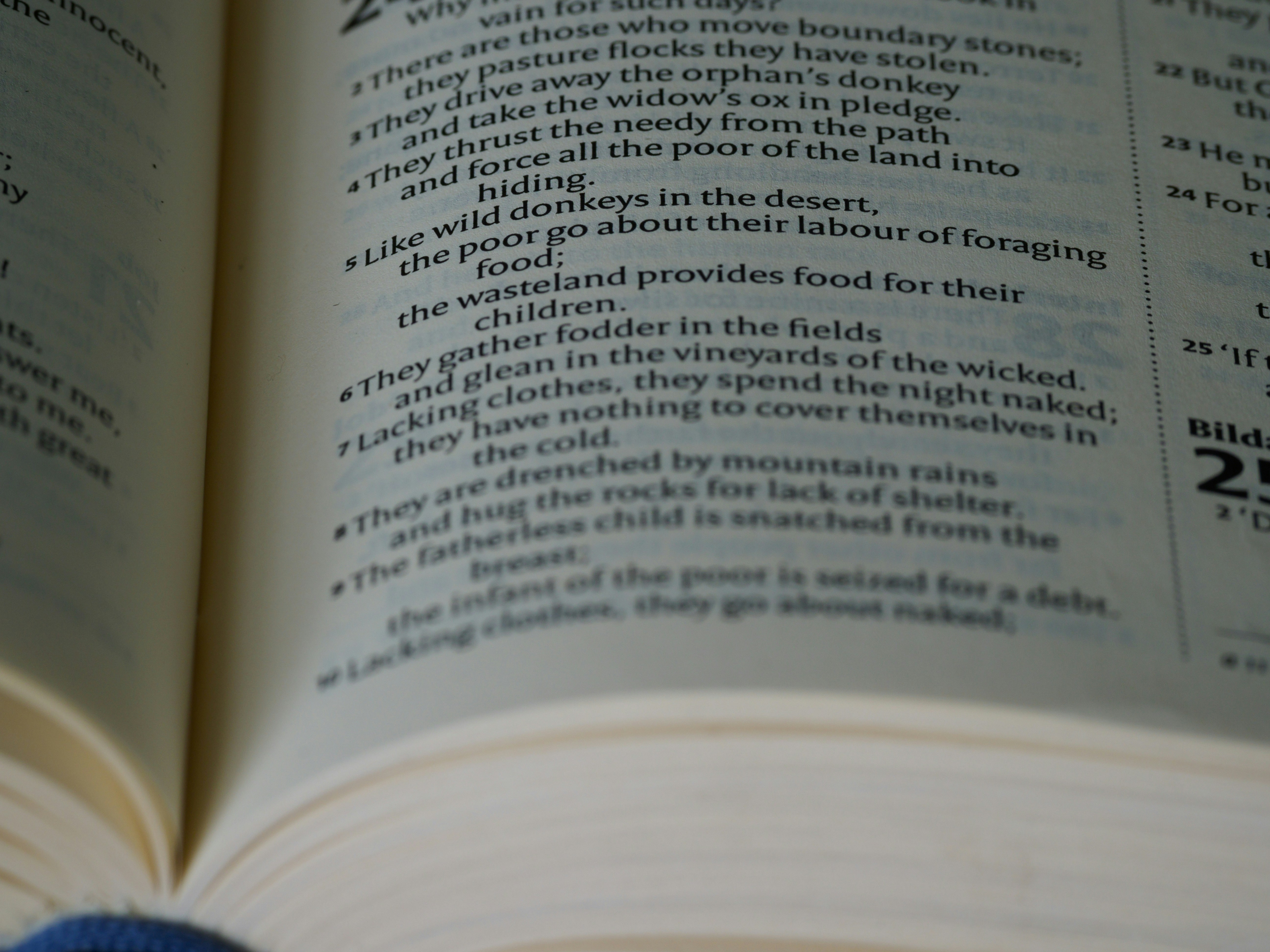 Photo by brett_jordan