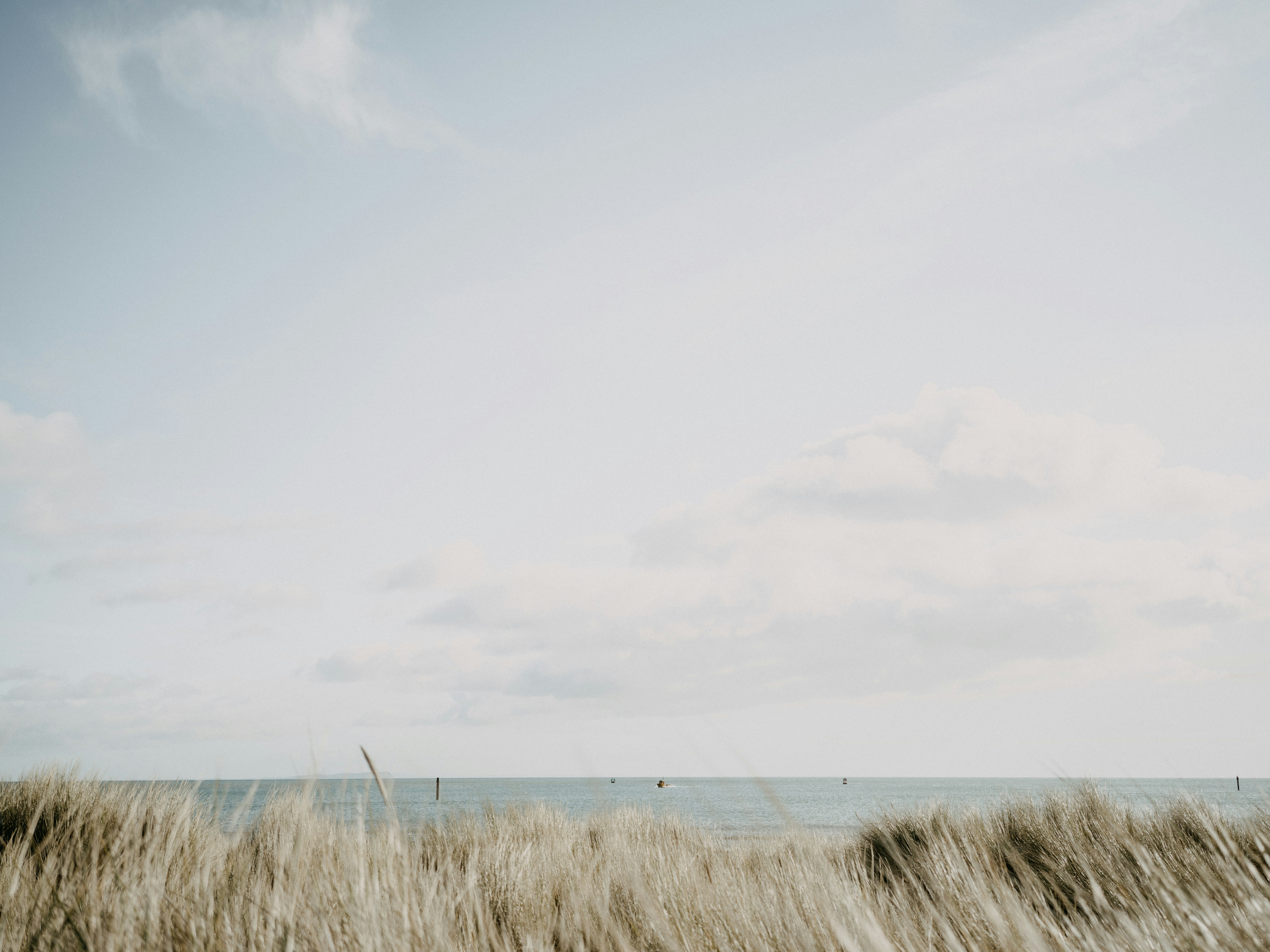 Photo by anniespratt