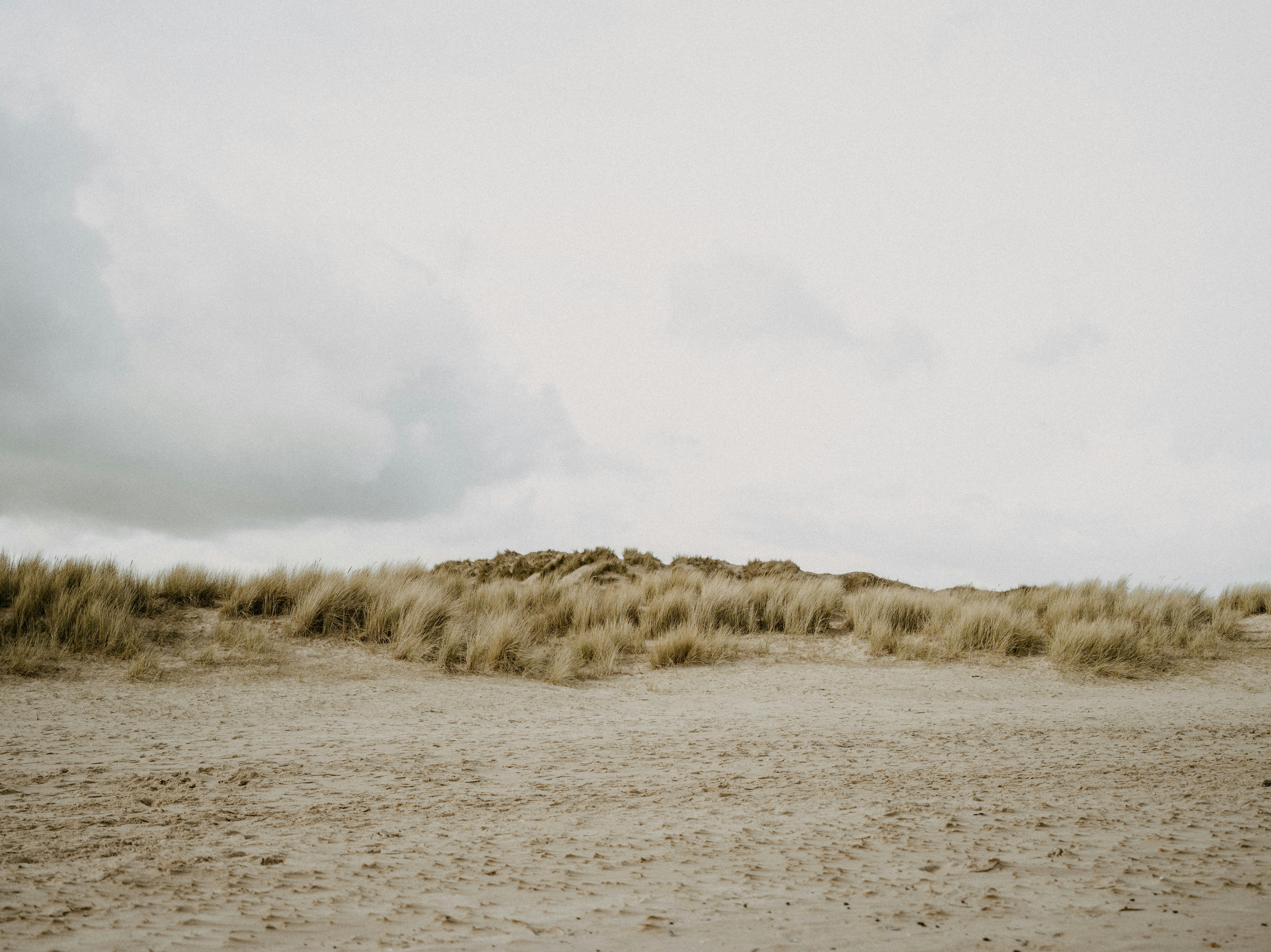 Photo by anniespratt