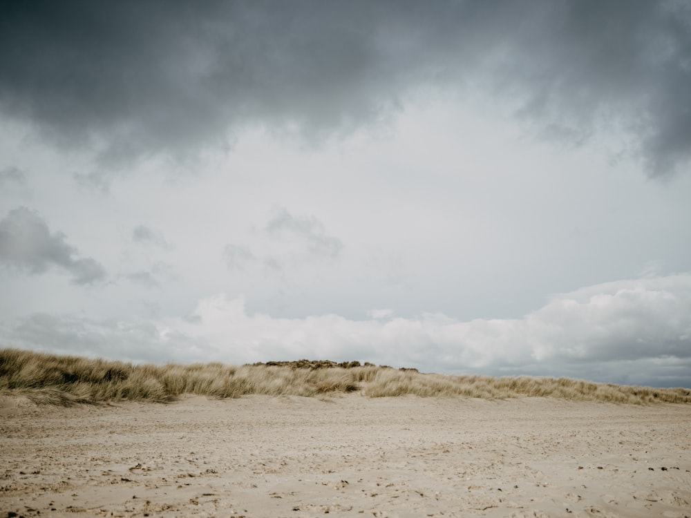 a sandy beach with a cloudy sky in the background