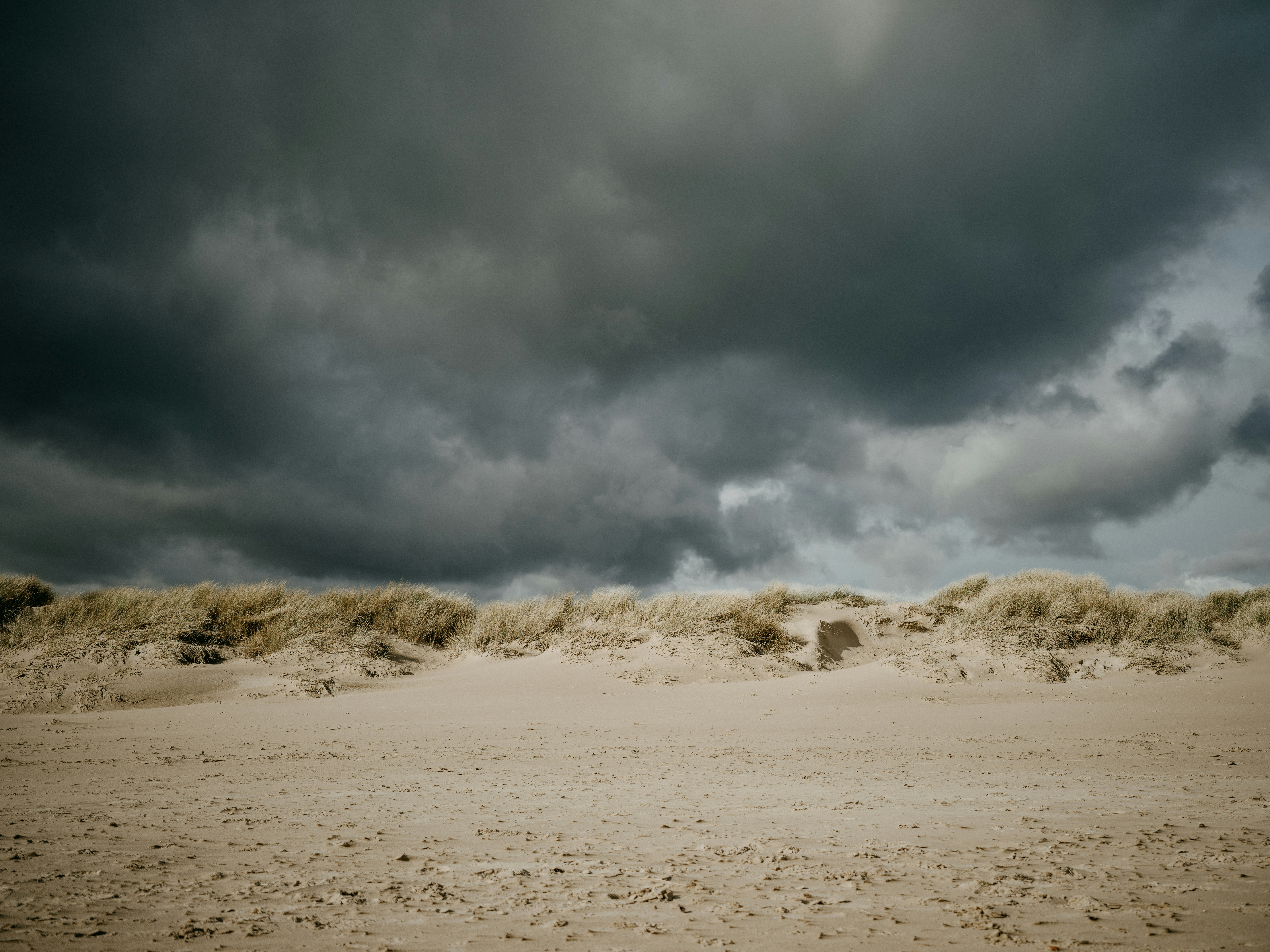 Photo by anniespratt