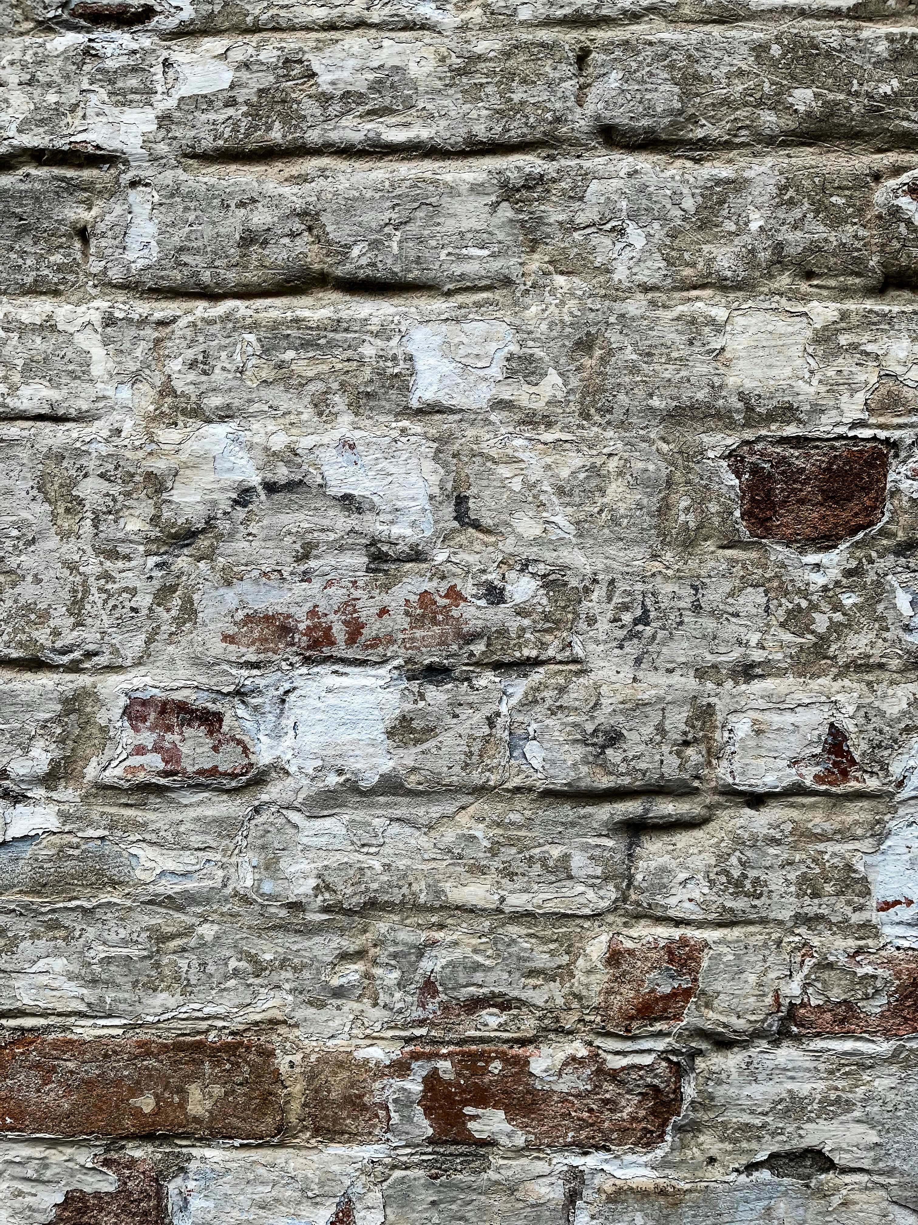 Photo by travelertraveler_