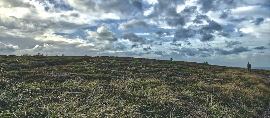 Moorland Trail Run