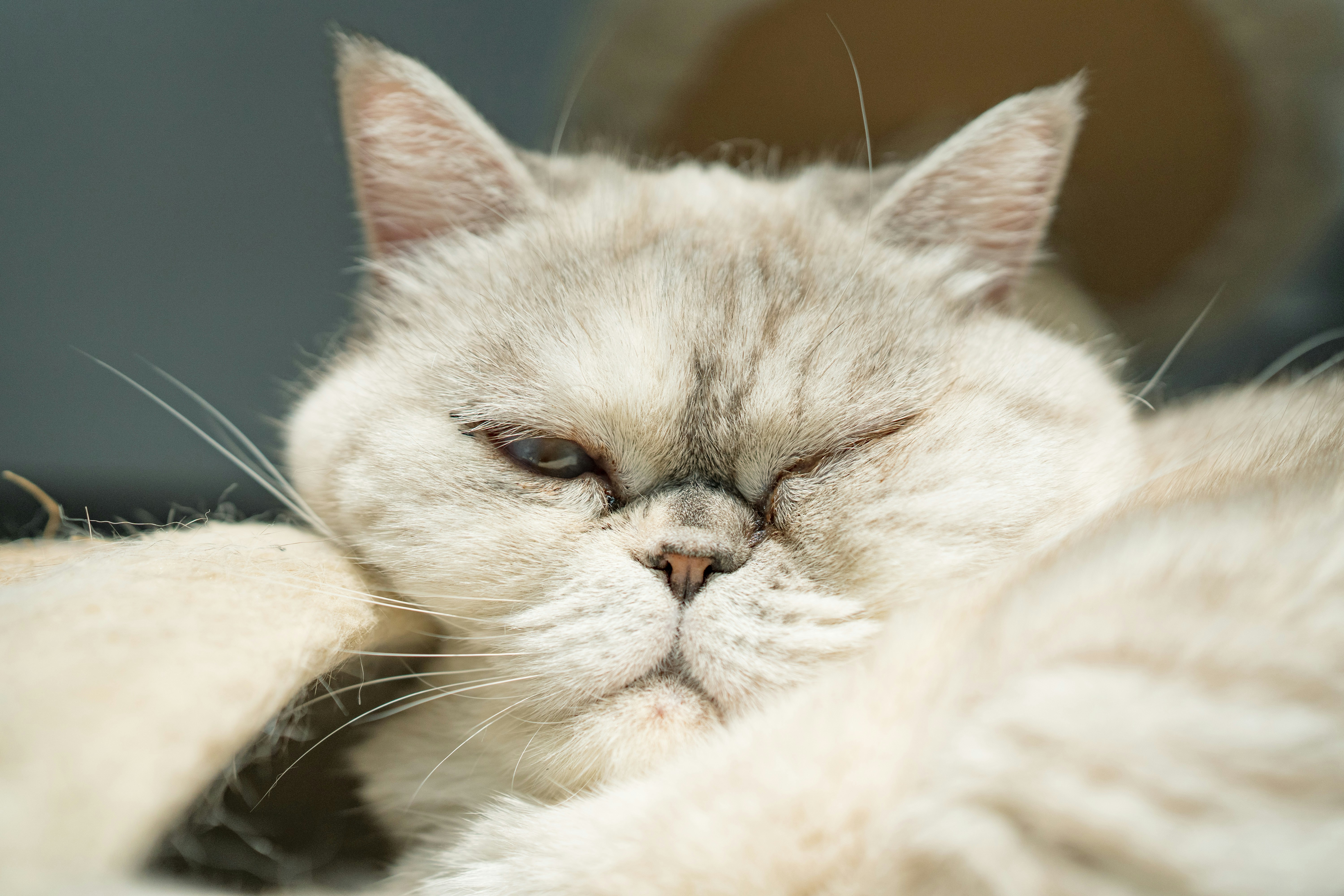 'Zeg... voor wíe doe jij dit eigenlijk?’