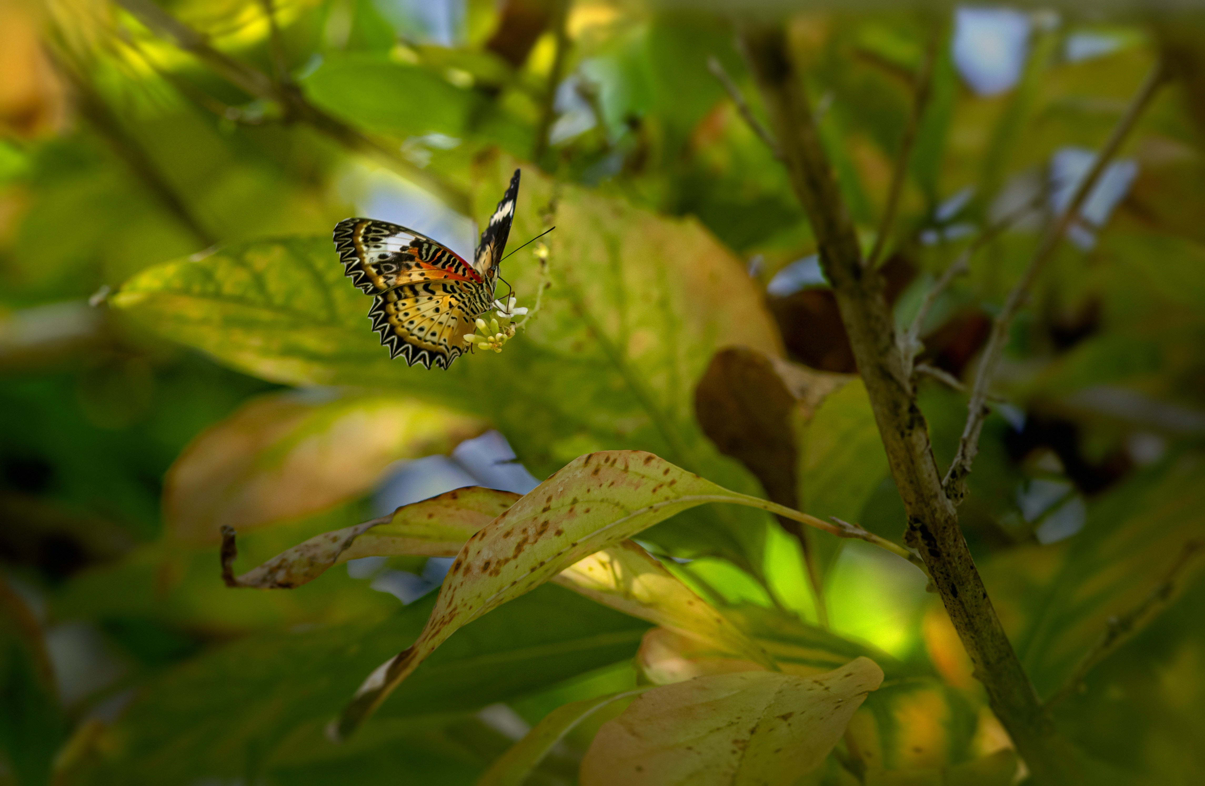 Photo by erik_karits