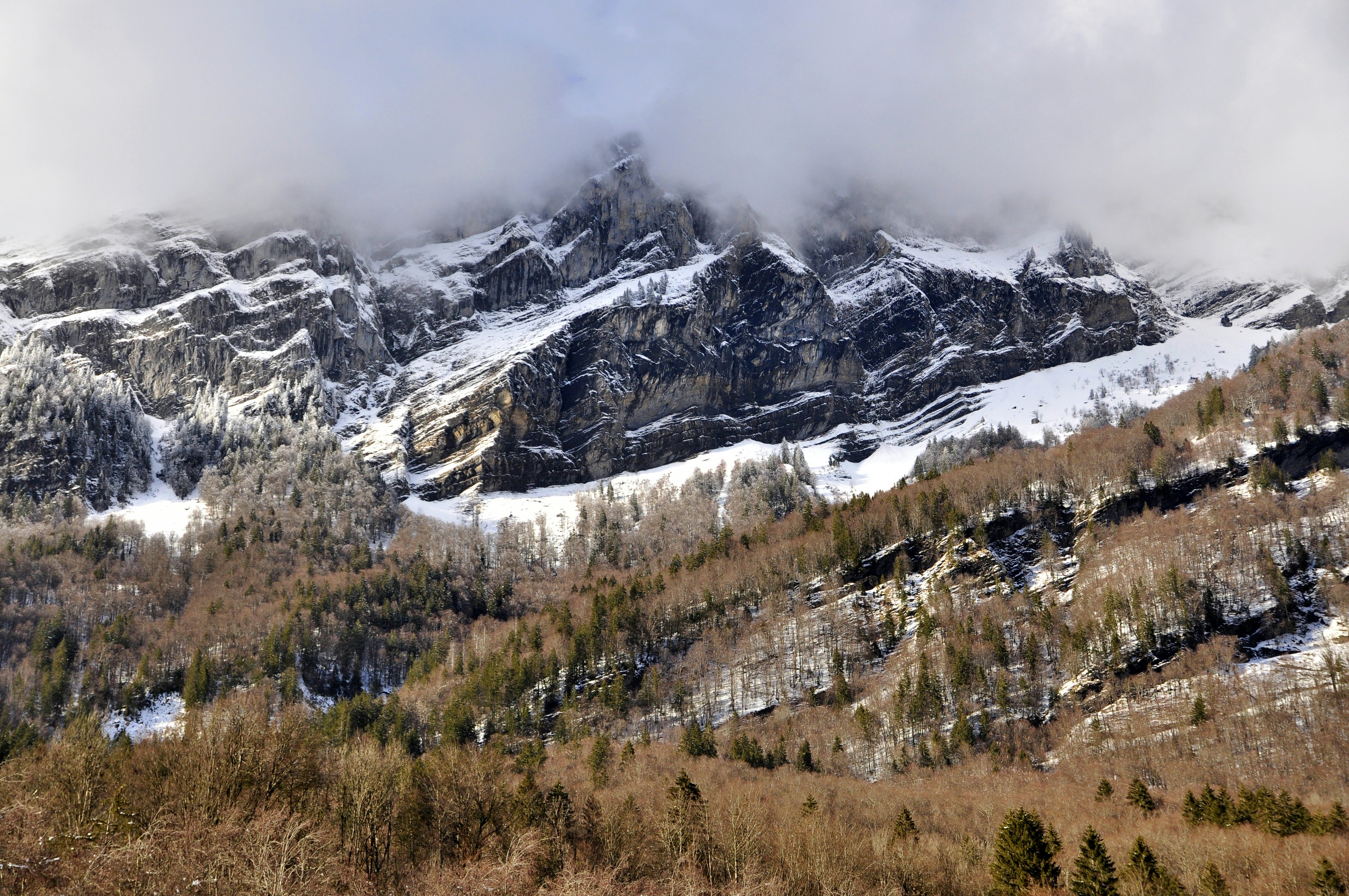 a mountain covered in snow and trees under a cloudy sky