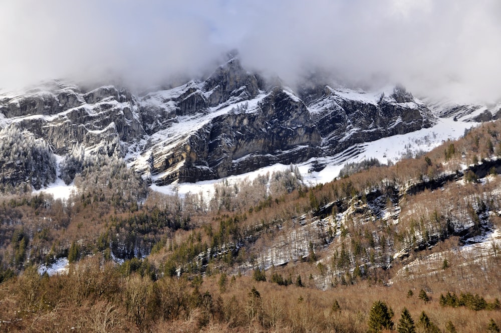 una montaña cubierta de nieve y árboles bajo un cielo nublado