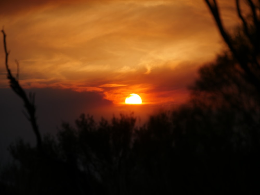 El sol se está poniendo detrás de algunos árboles