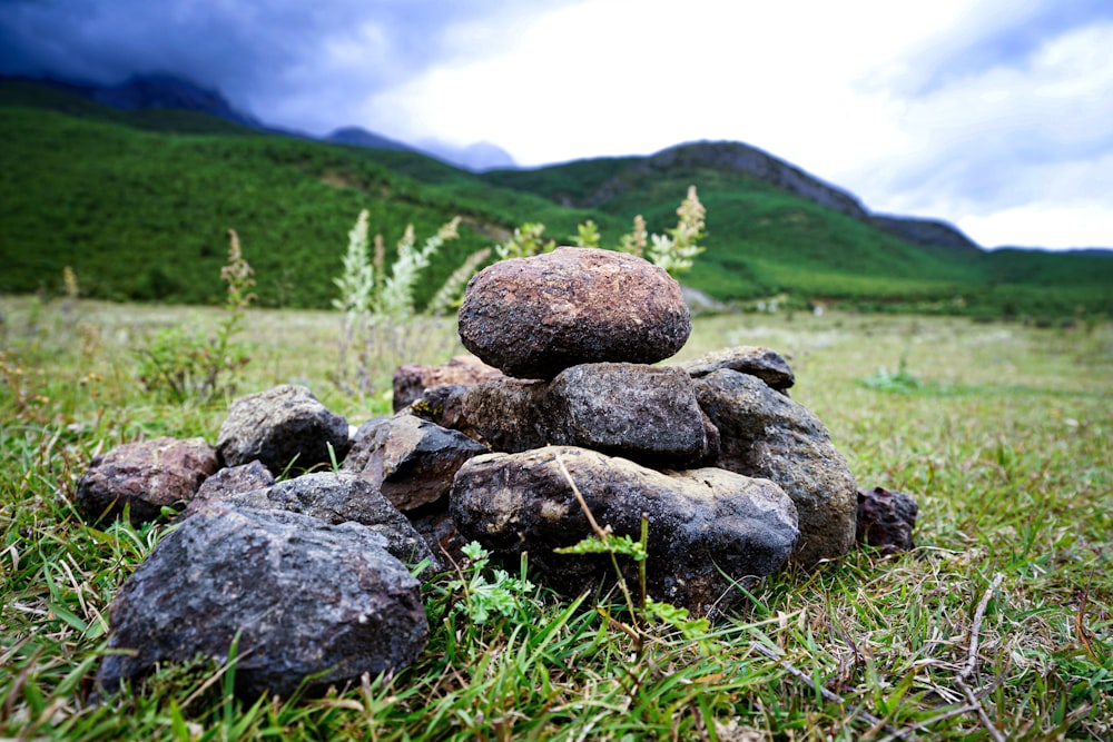 a pile of rocks sitting on top of a lush green field