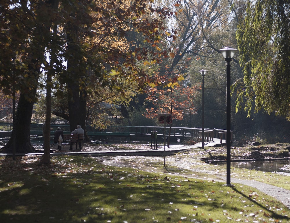 a couple of people walking through a park