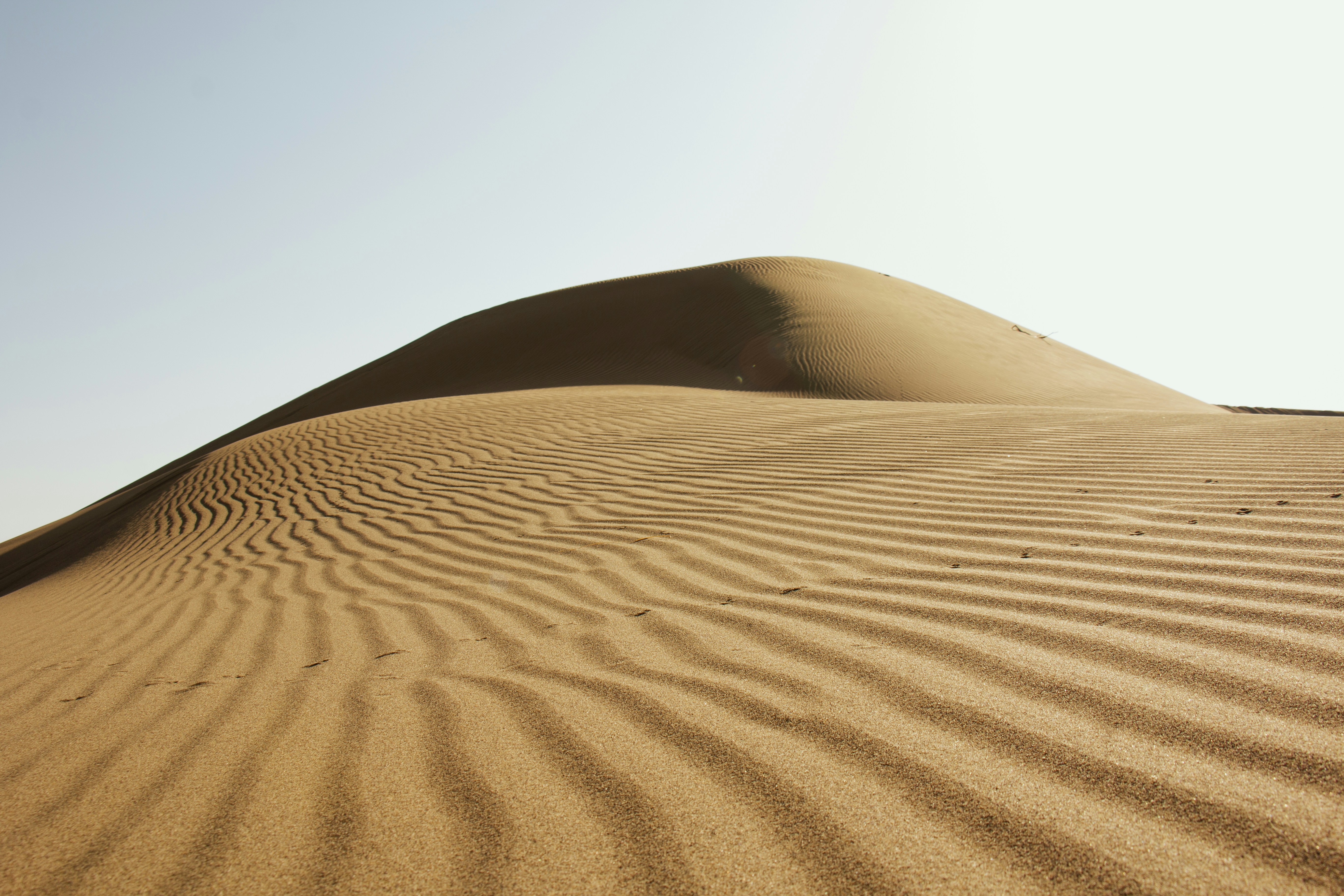 Photo by kouroshmohsenin