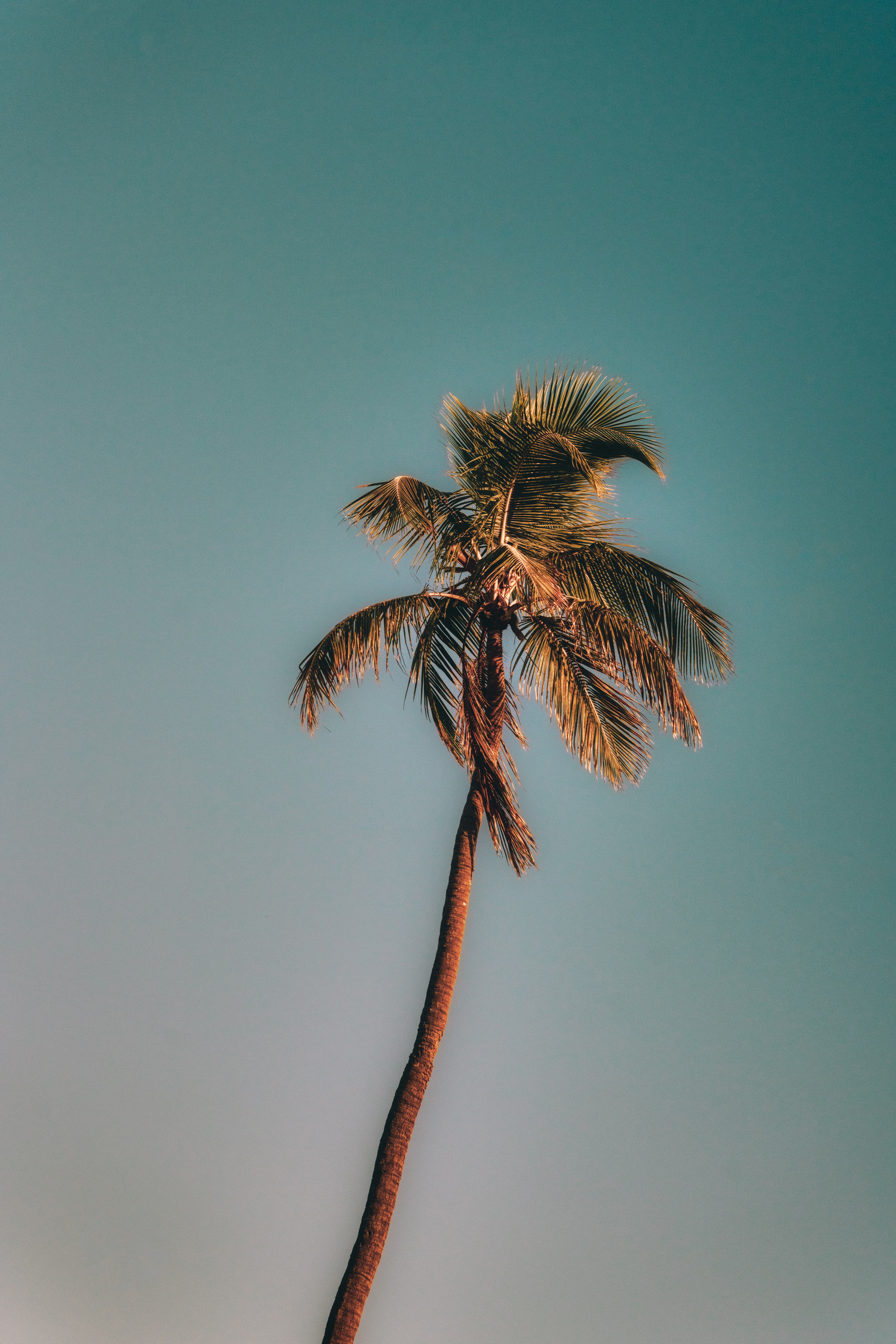 Photo by alphawolff75