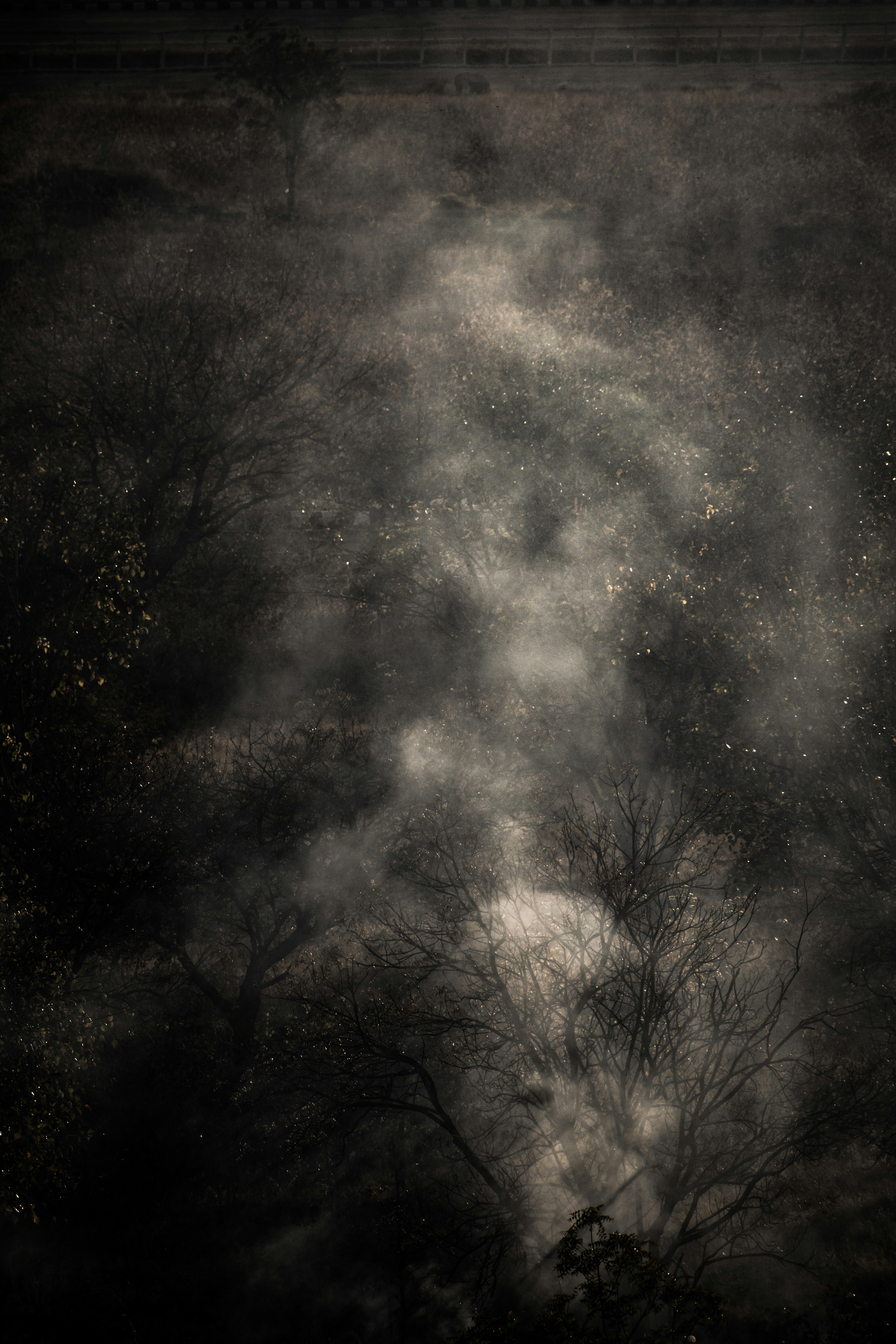 Photo by aditya_ghodke