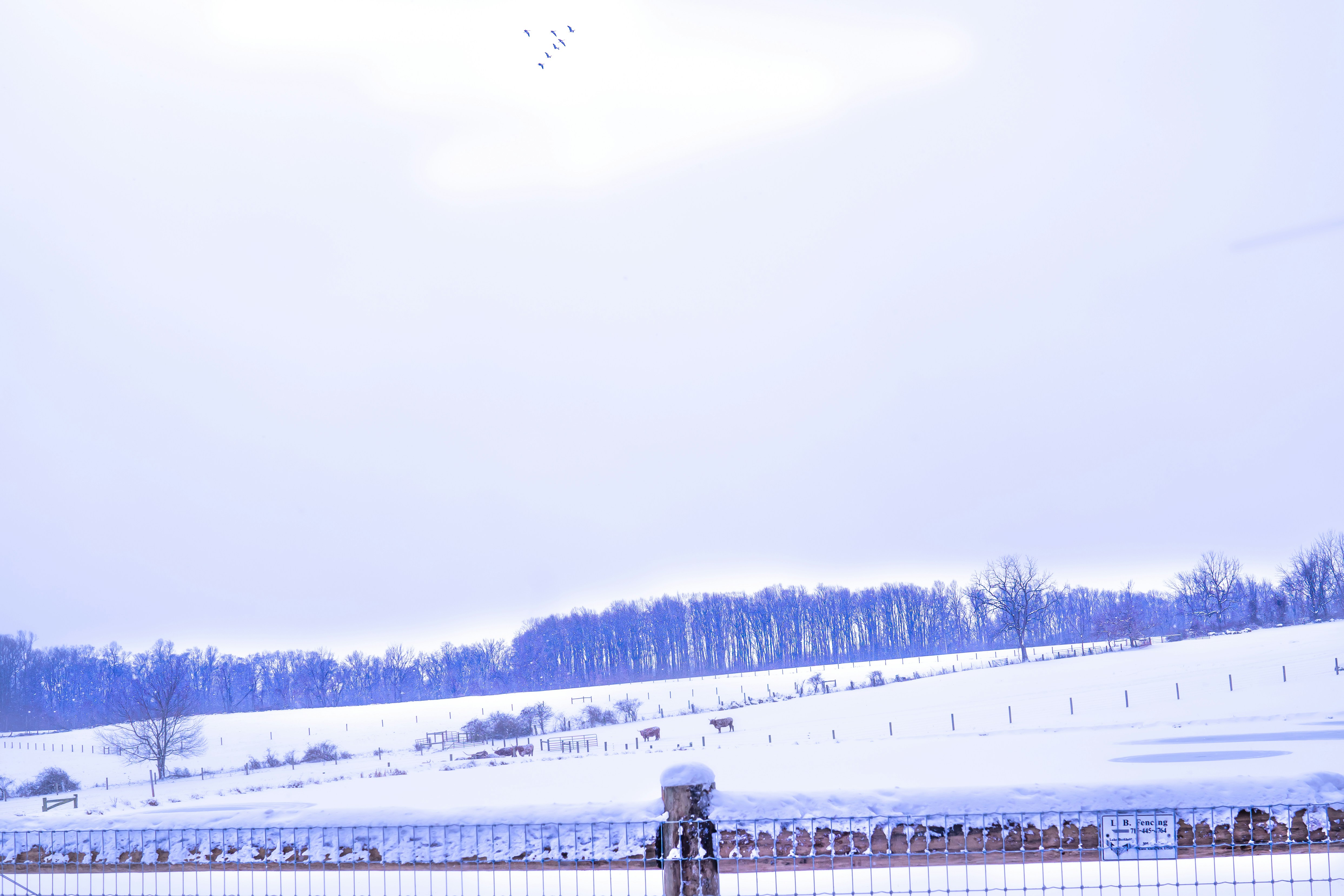 a snow covered field with a fence and trees