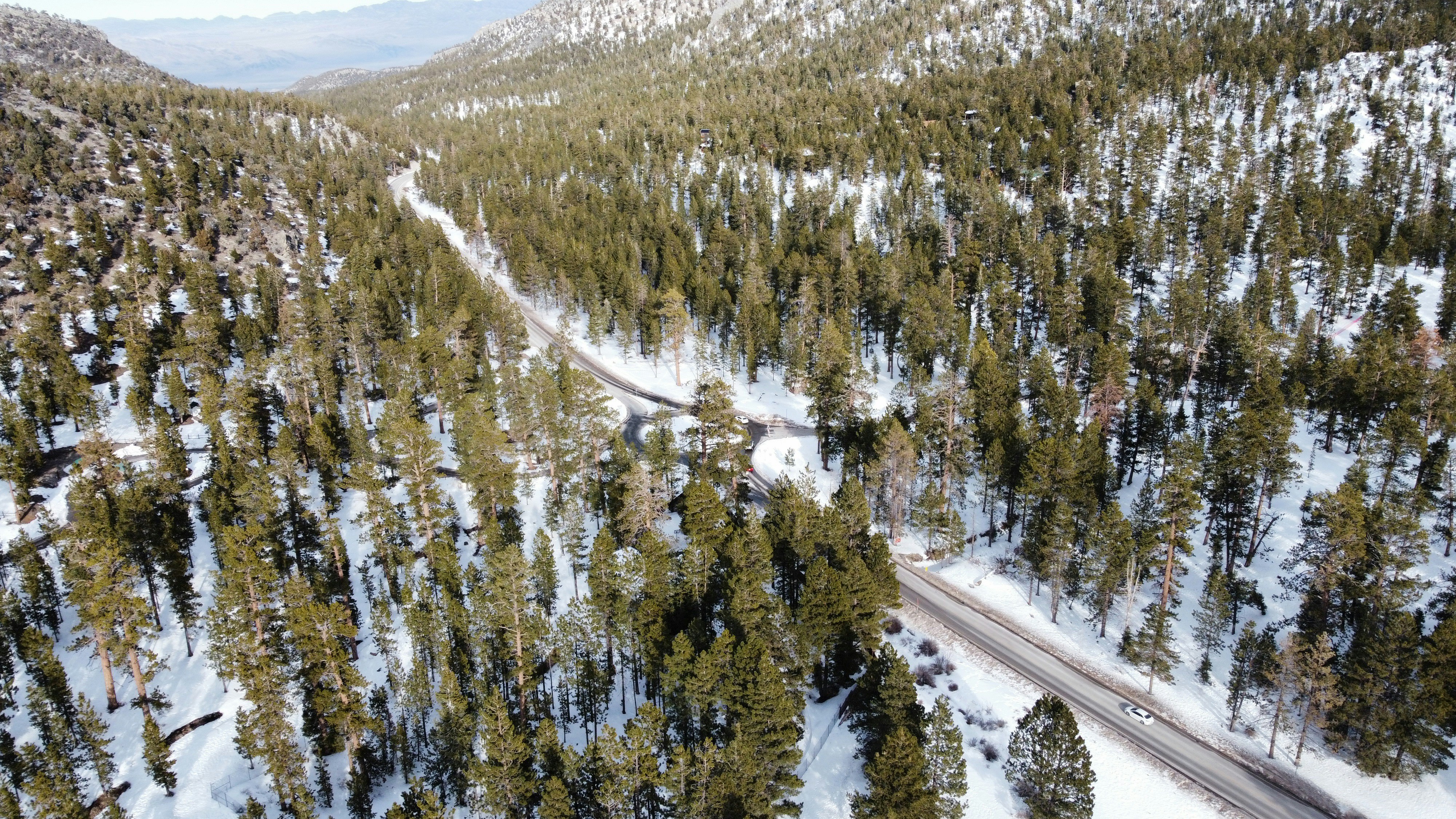 an aerial view of a road surrounded by trees