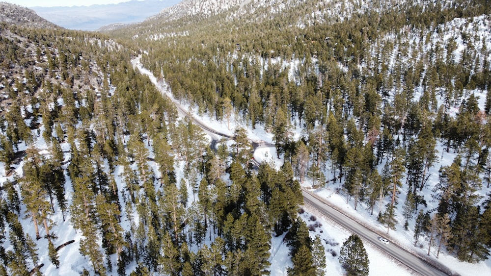 an aerial view of a road surrounded by trees