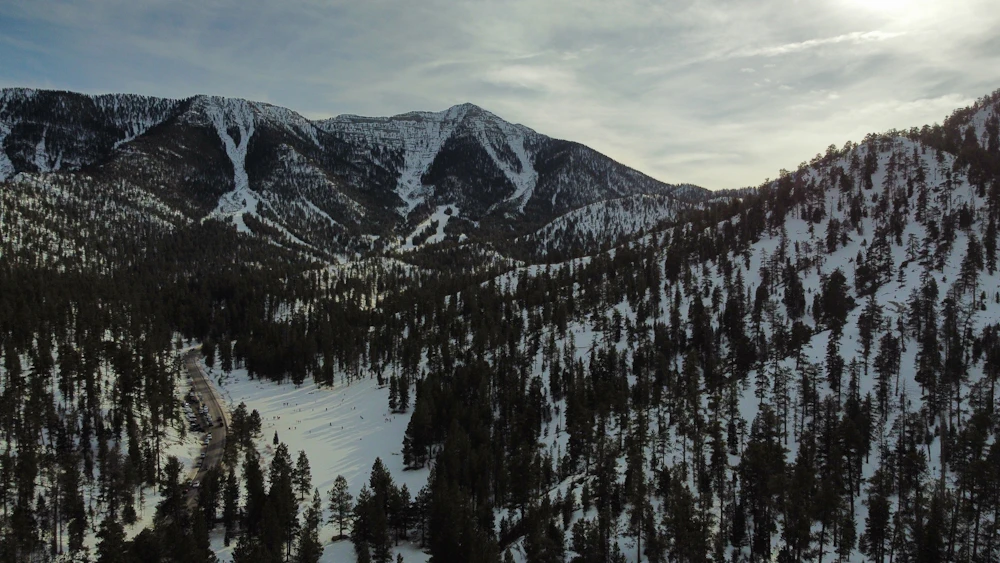 Snow-dusted mountain slopes covered in pine forest
