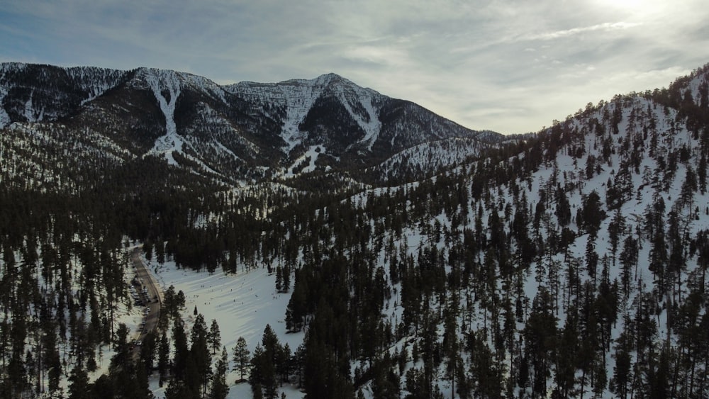 a snow covered mountain with trees and a sky background